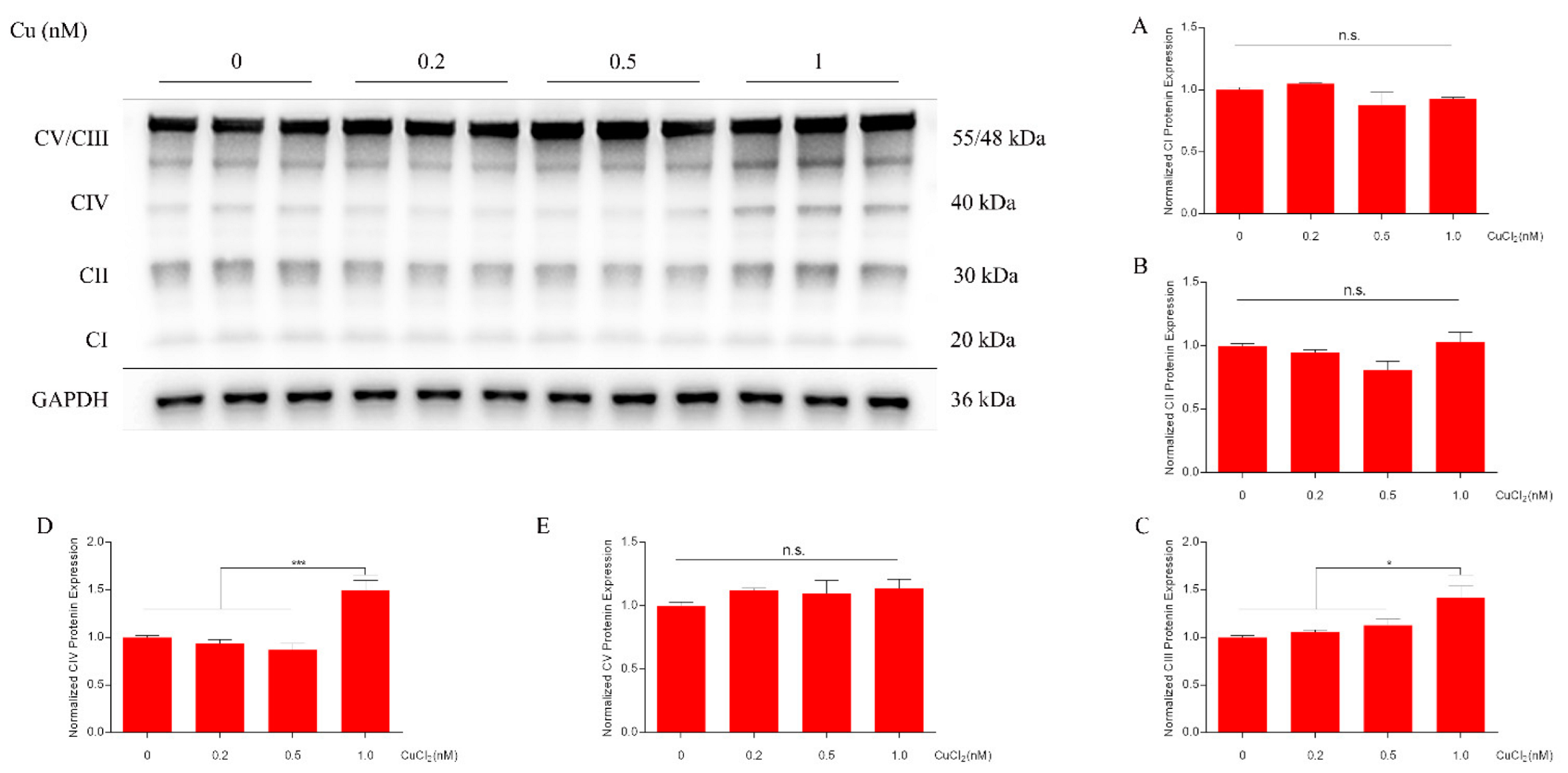 Ijms 23 06209 g002 Ijms 23 06209 g002