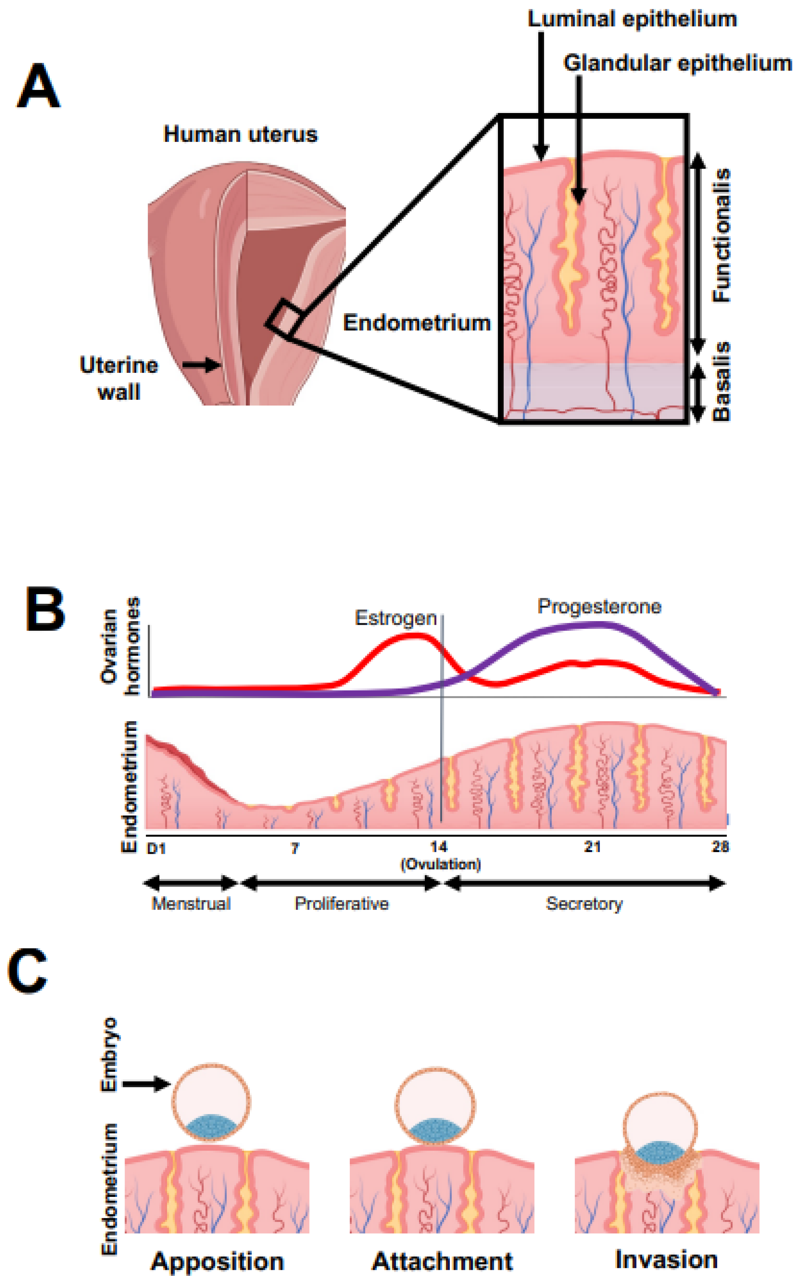 Ijms 23 06210 g001 550