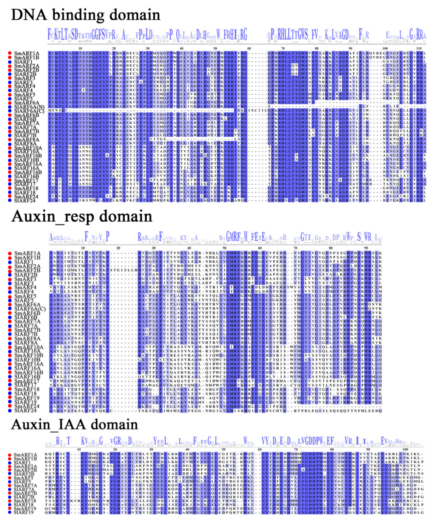 Ijms 23 06219 g001 550