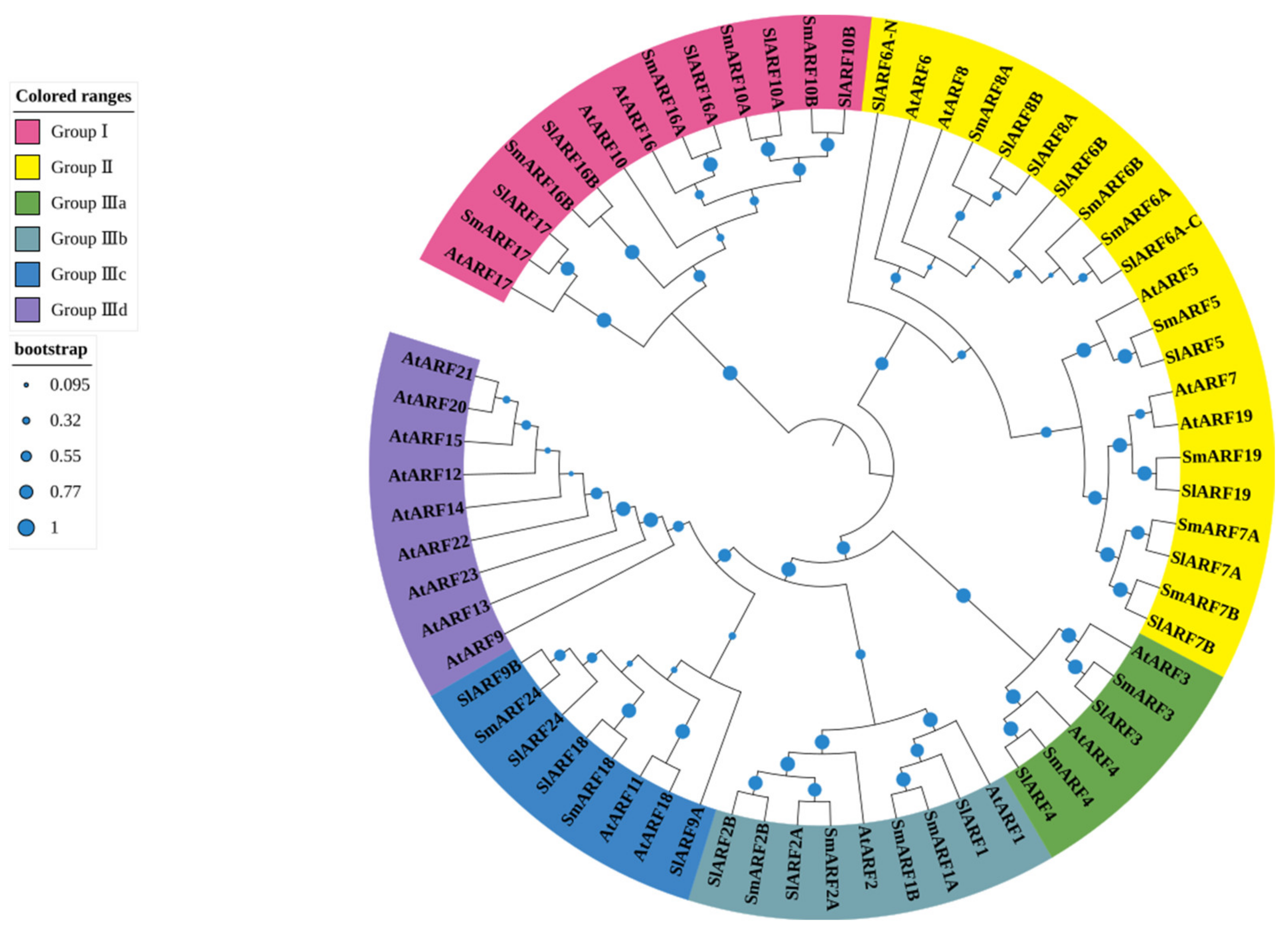 Ijms 23 06219 g002 550