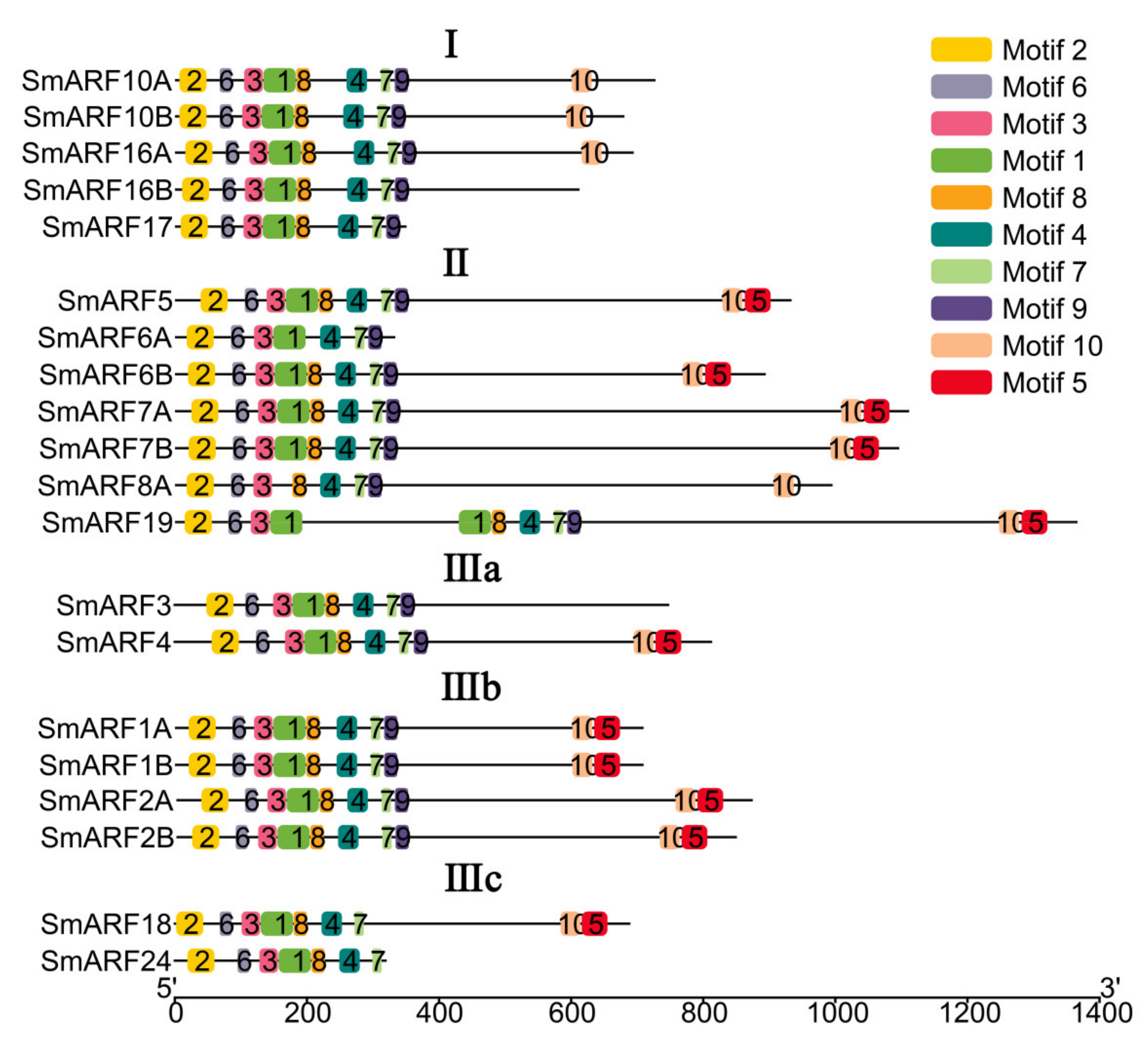 Ijms 23 06219 g003 550