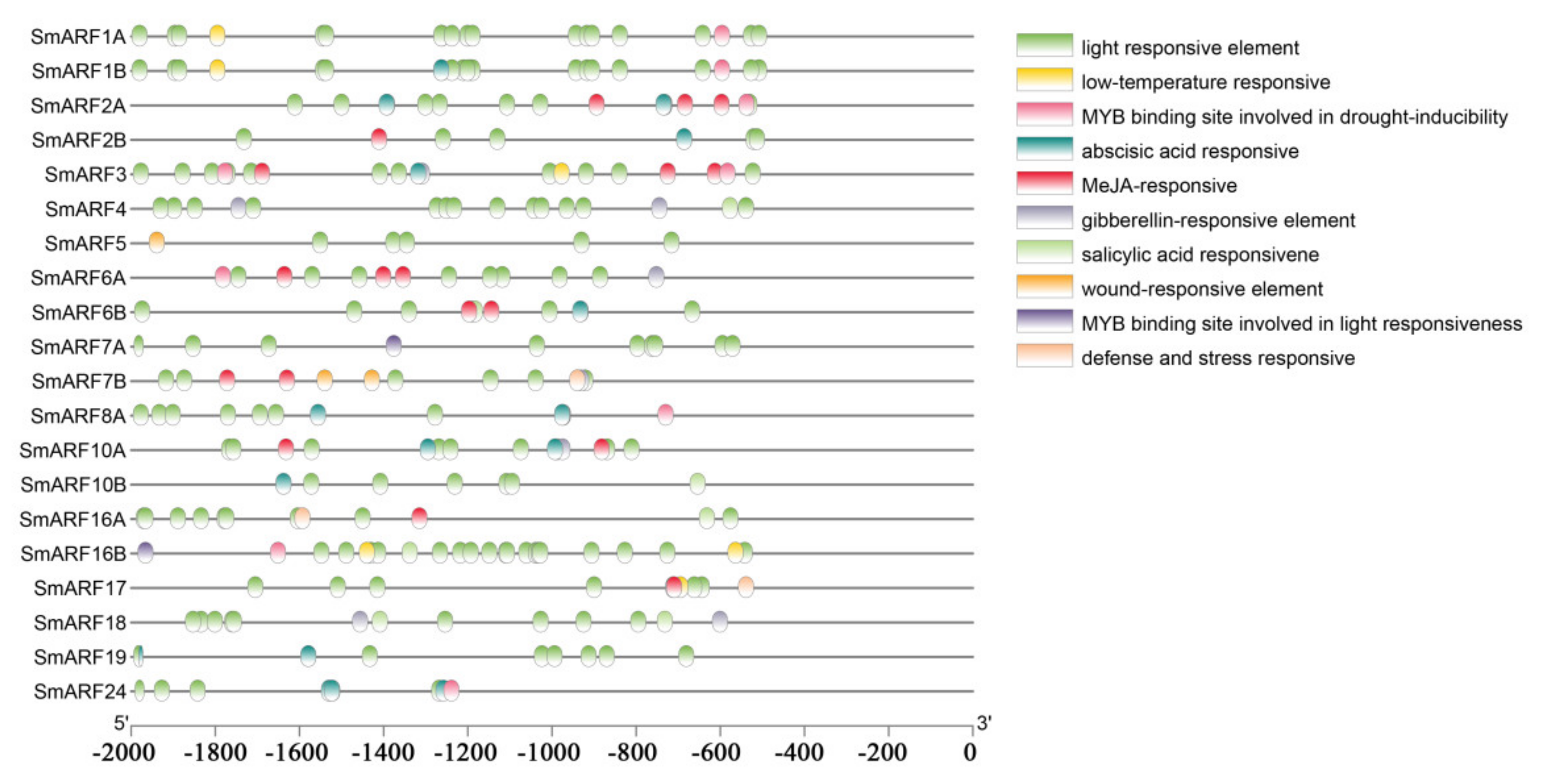 Ijms 23 06219 g004 550