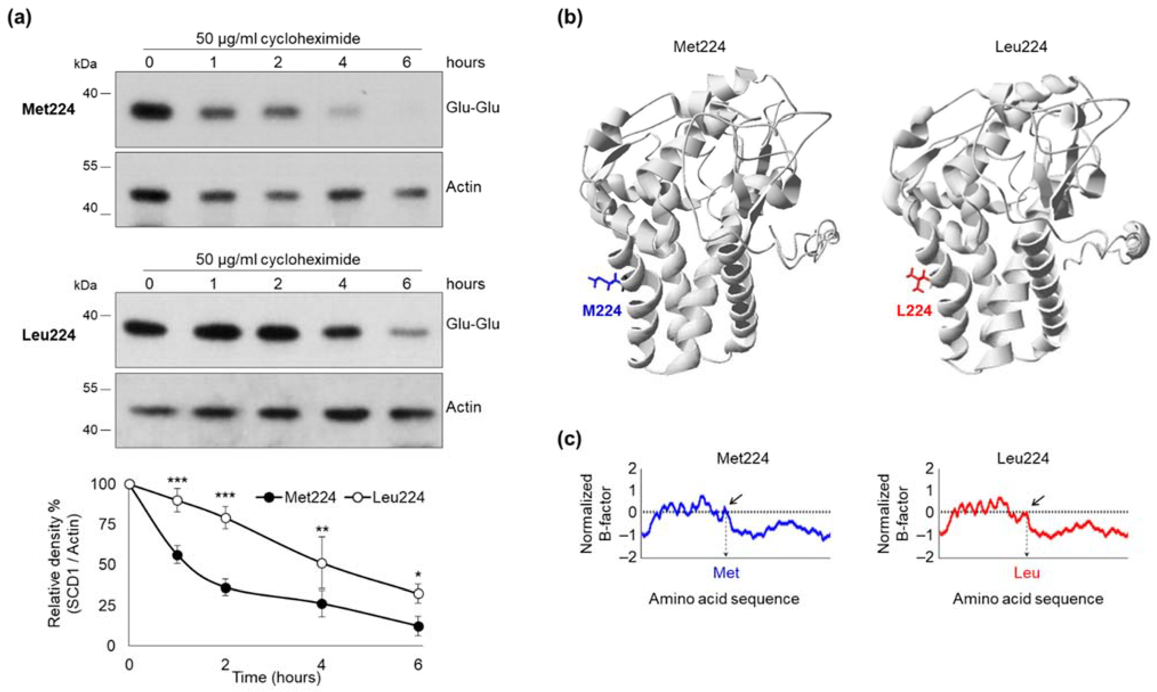 Ijms 23 06221 g003 550