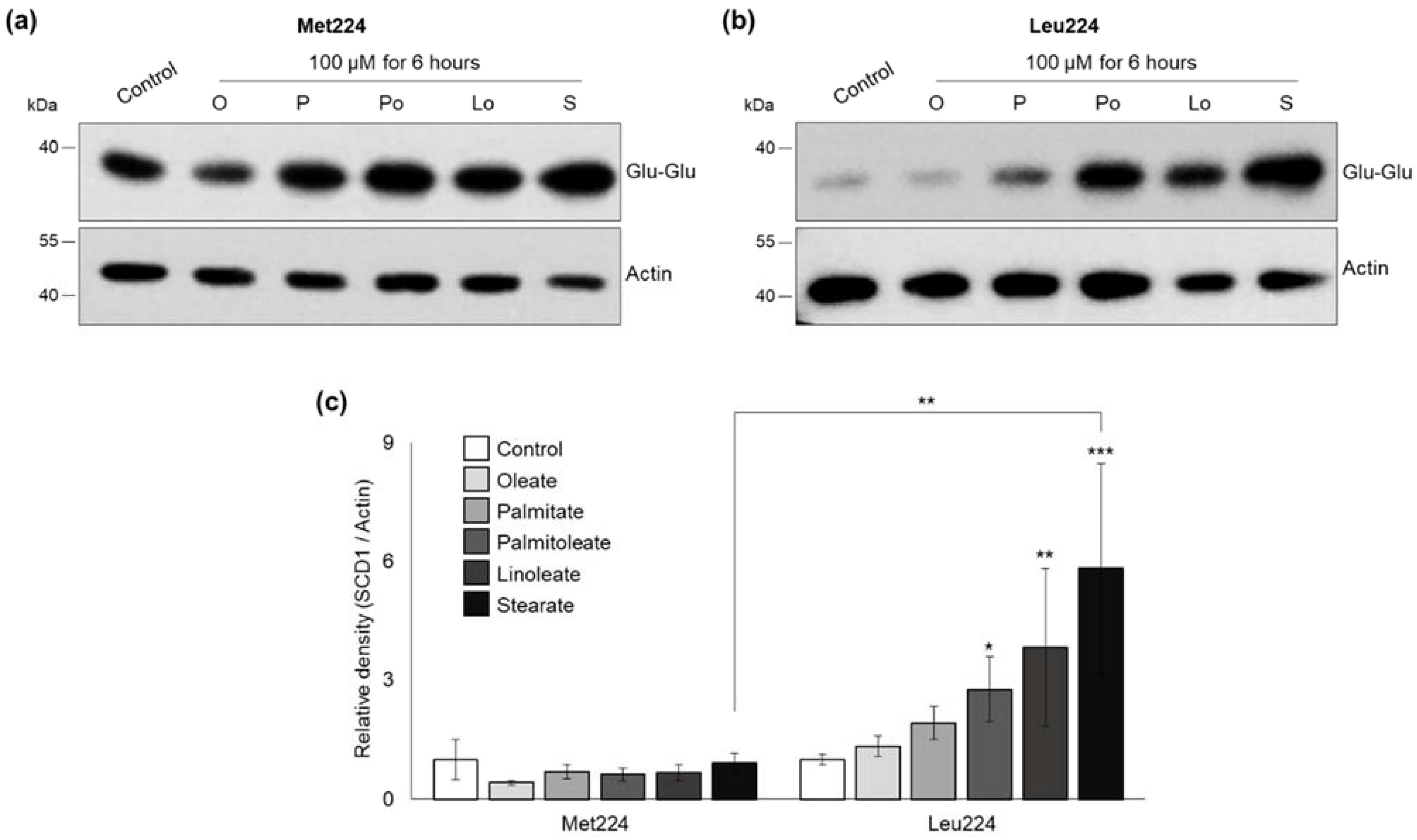 Ijms 23 06221 g004 550