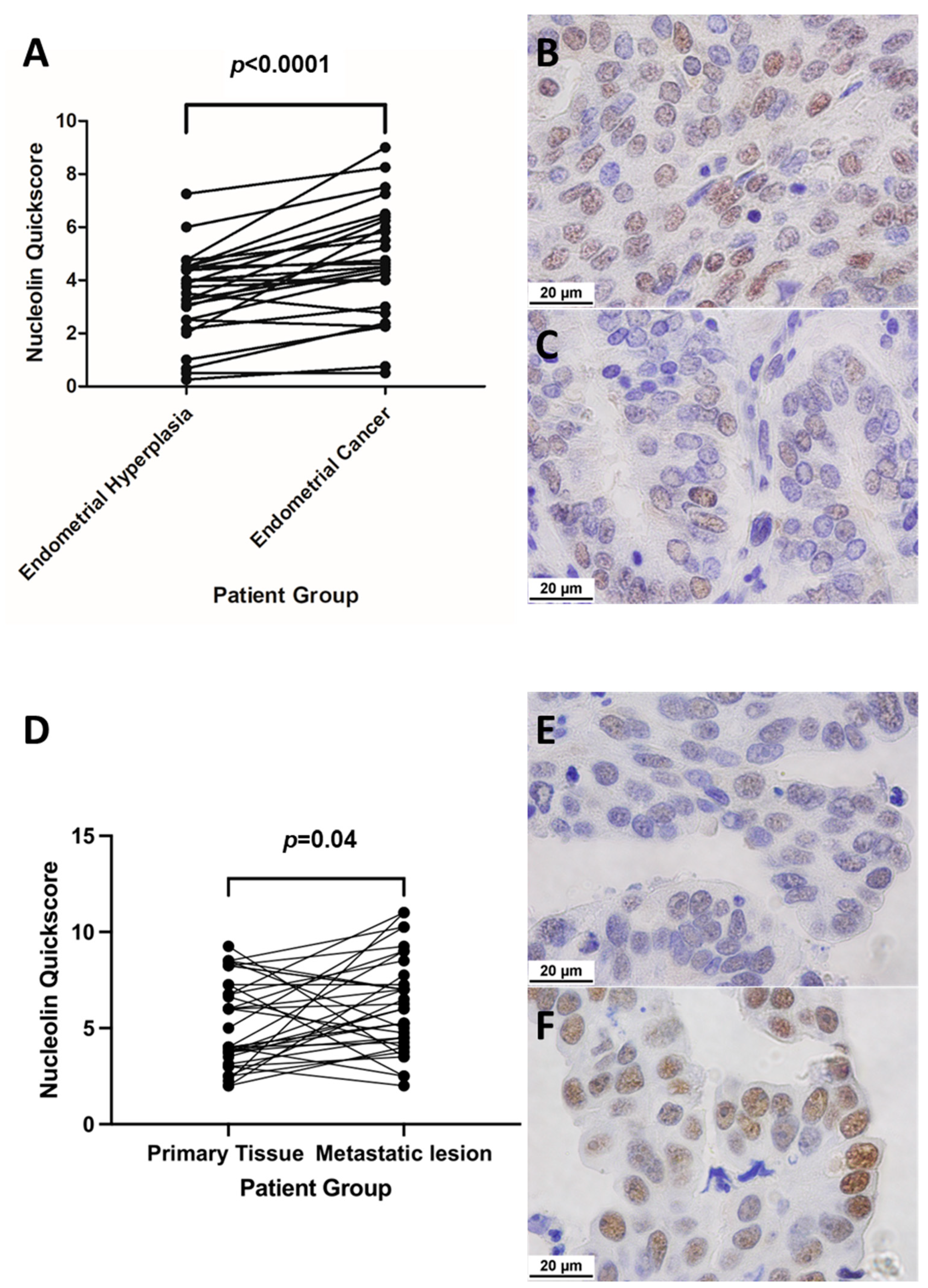 Ijms 23 06228 g004 550