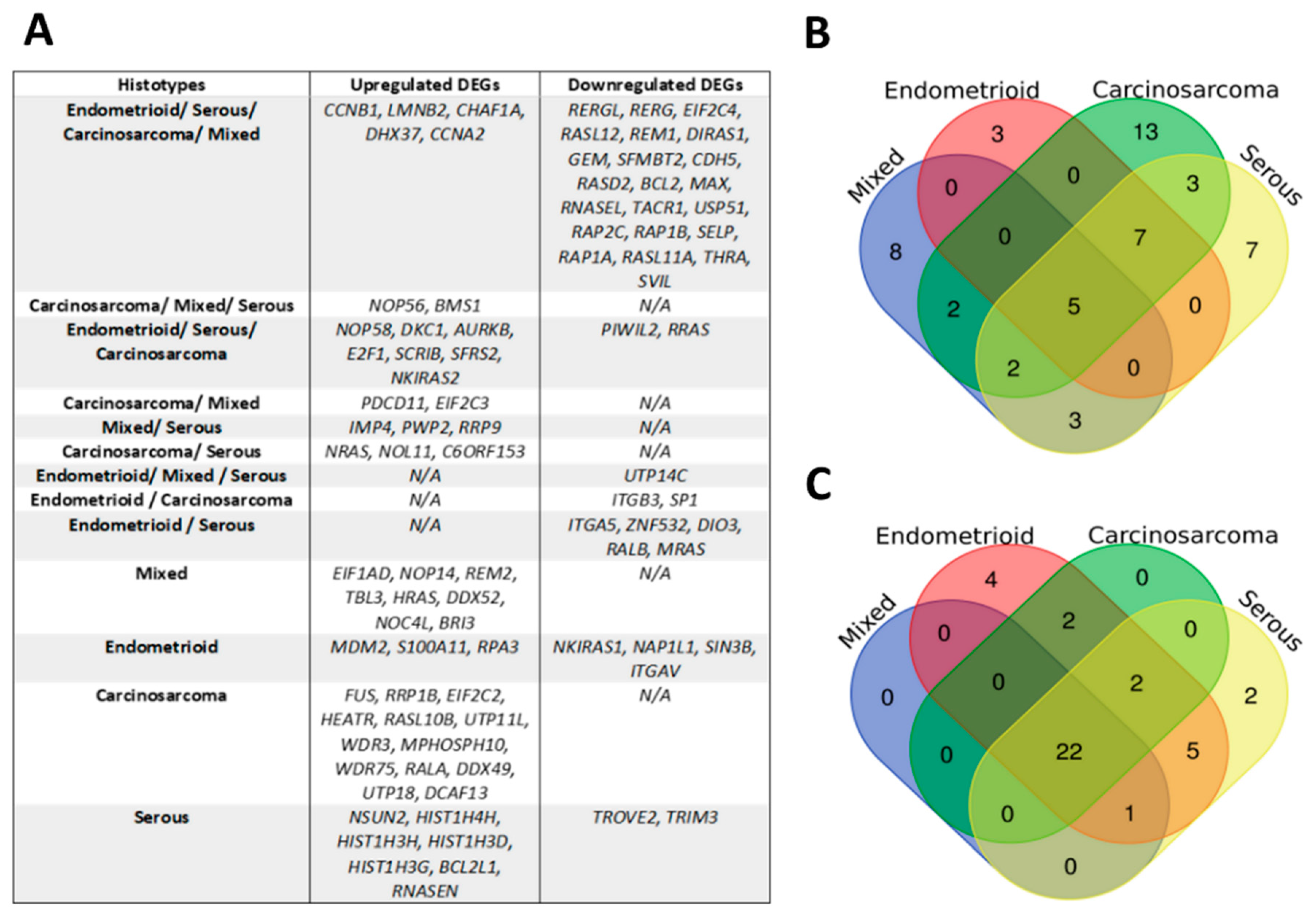 Ijms 23 06228 g005 550