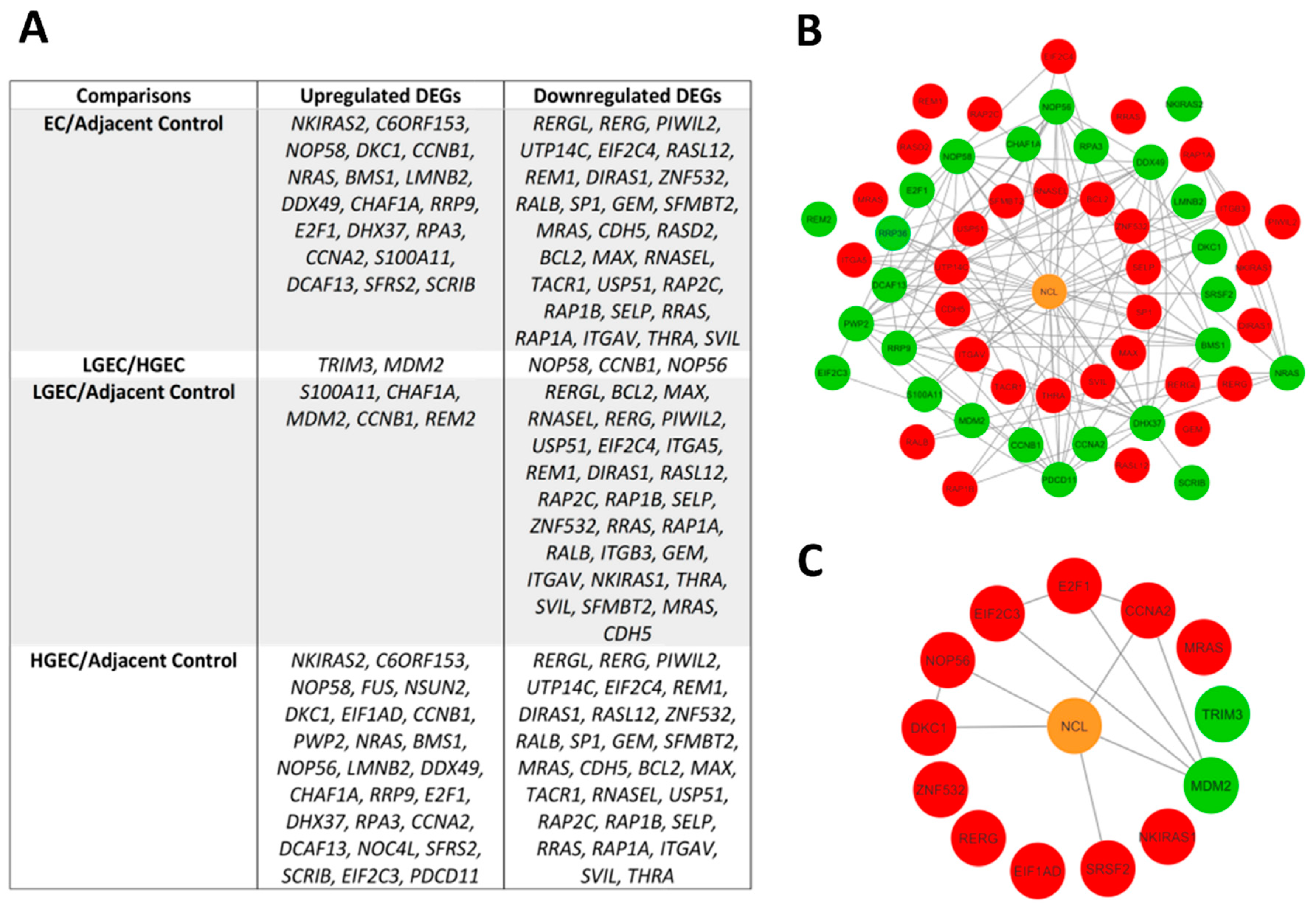 Ijms 23 06228 g006 550