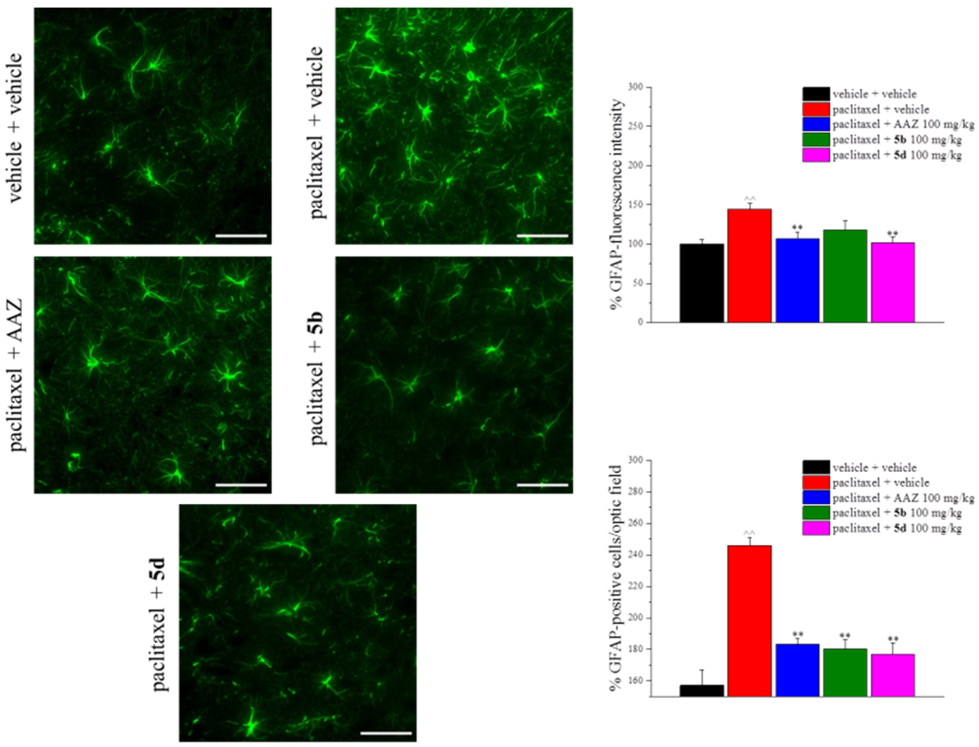 Ijms 23 06229 g004 550