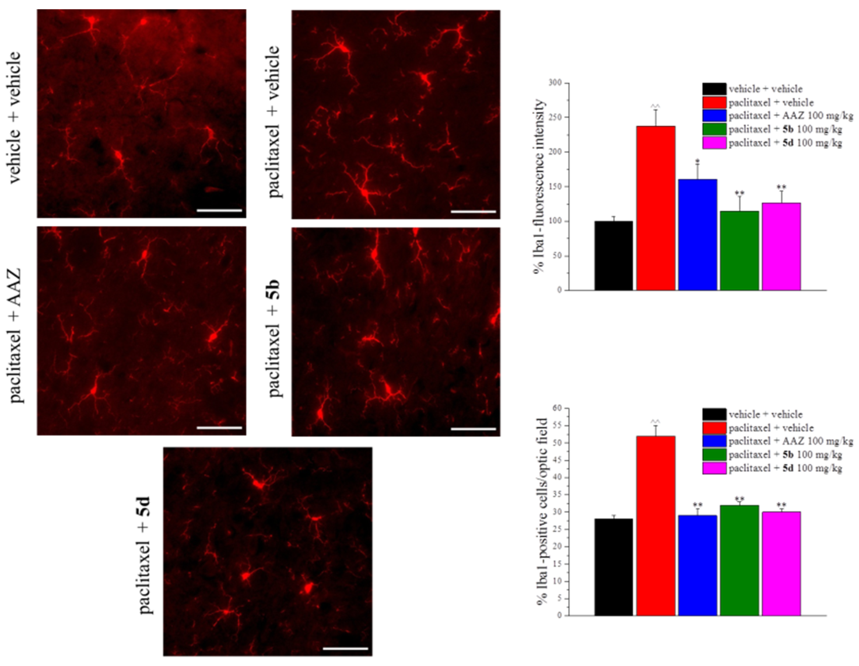 Ijms 23 06229 g005 550