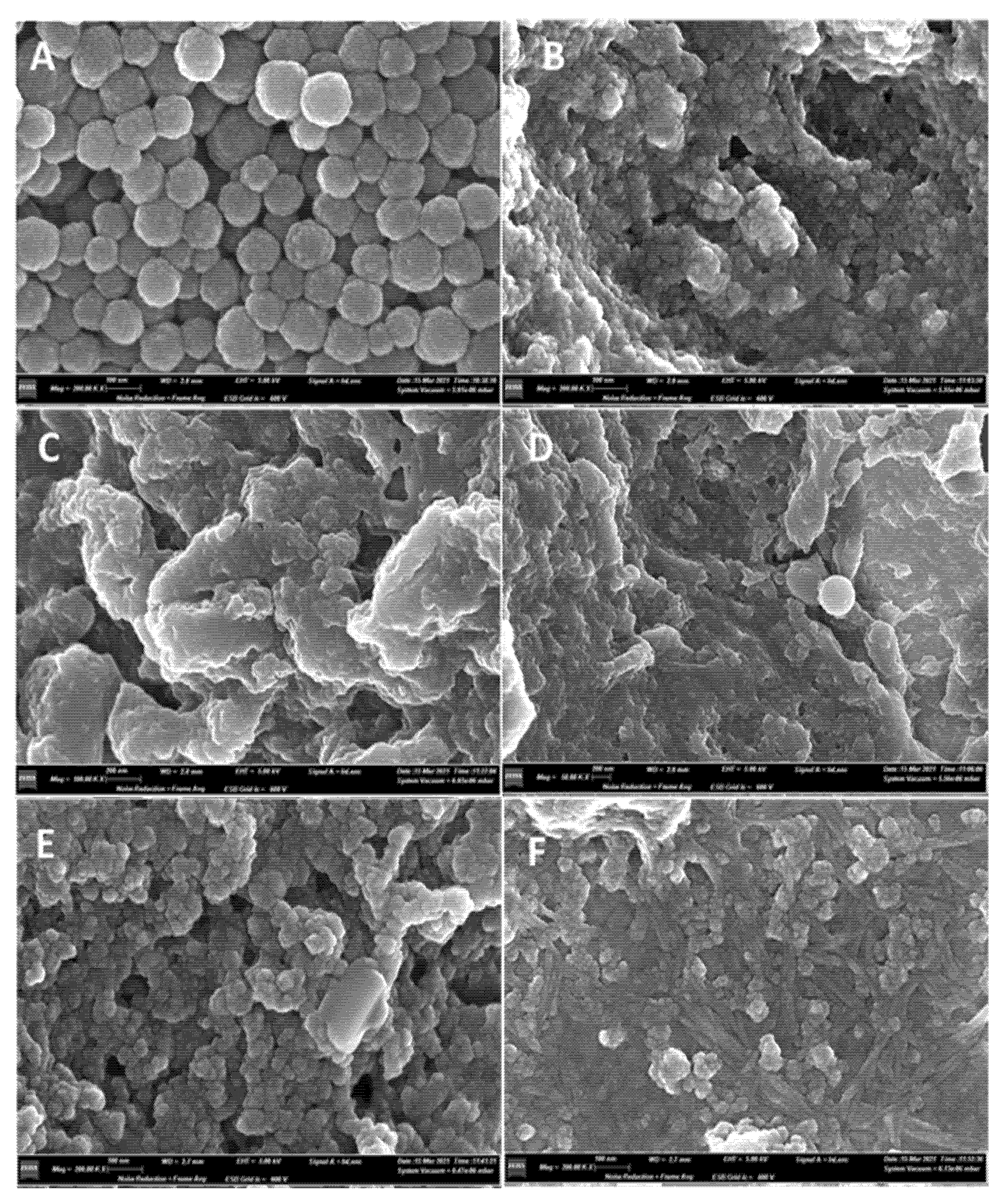 Ijms 23 06238 g002 550