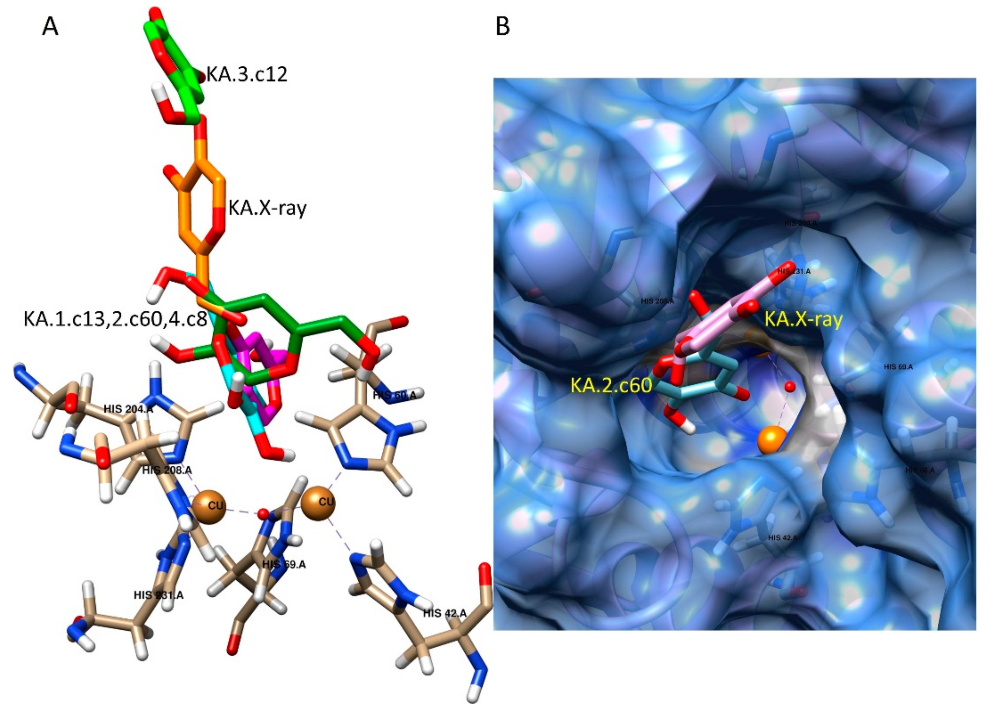 Ijms 23 06240 g005 550