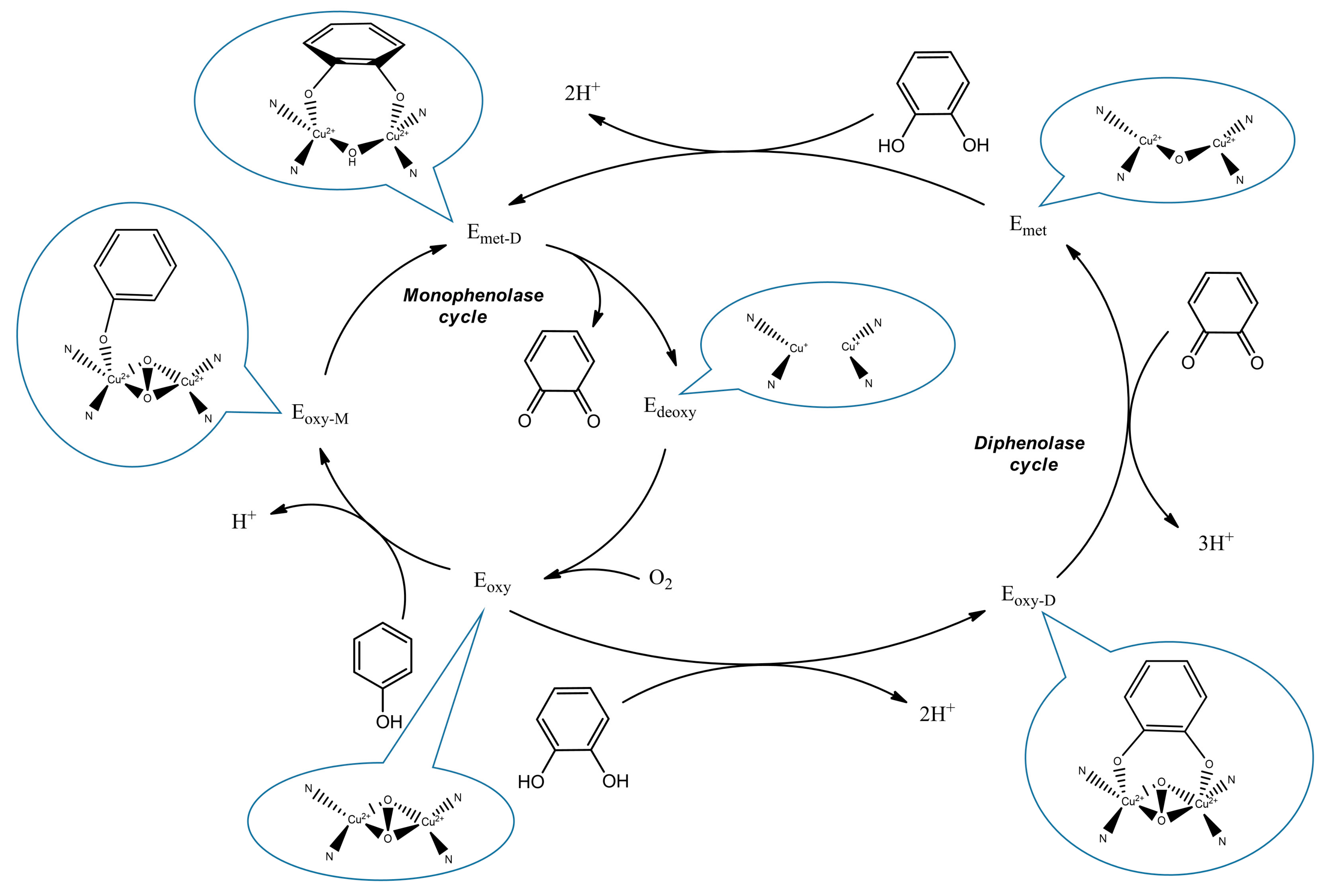 Ijms 23 06240 sch001 550