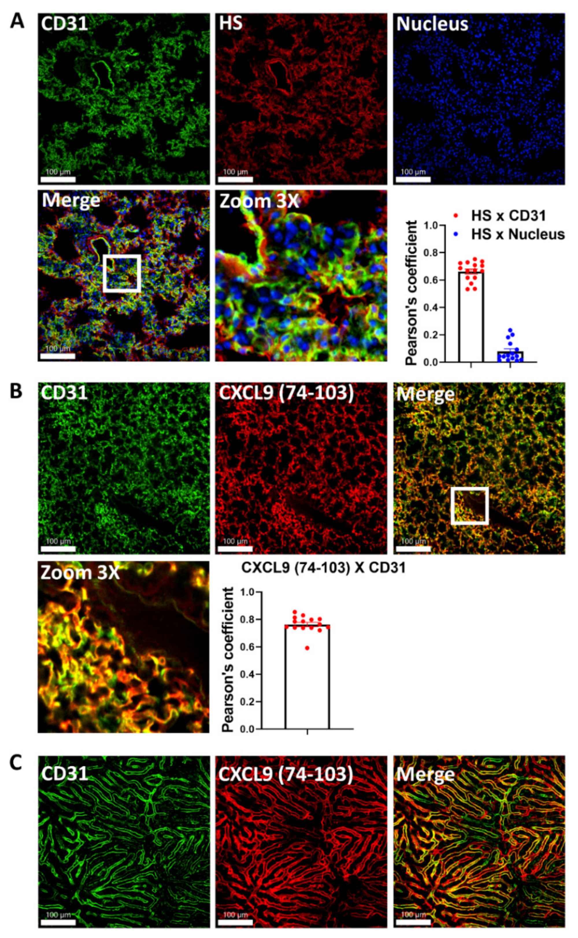 Ijms 23 06246 g001 550
