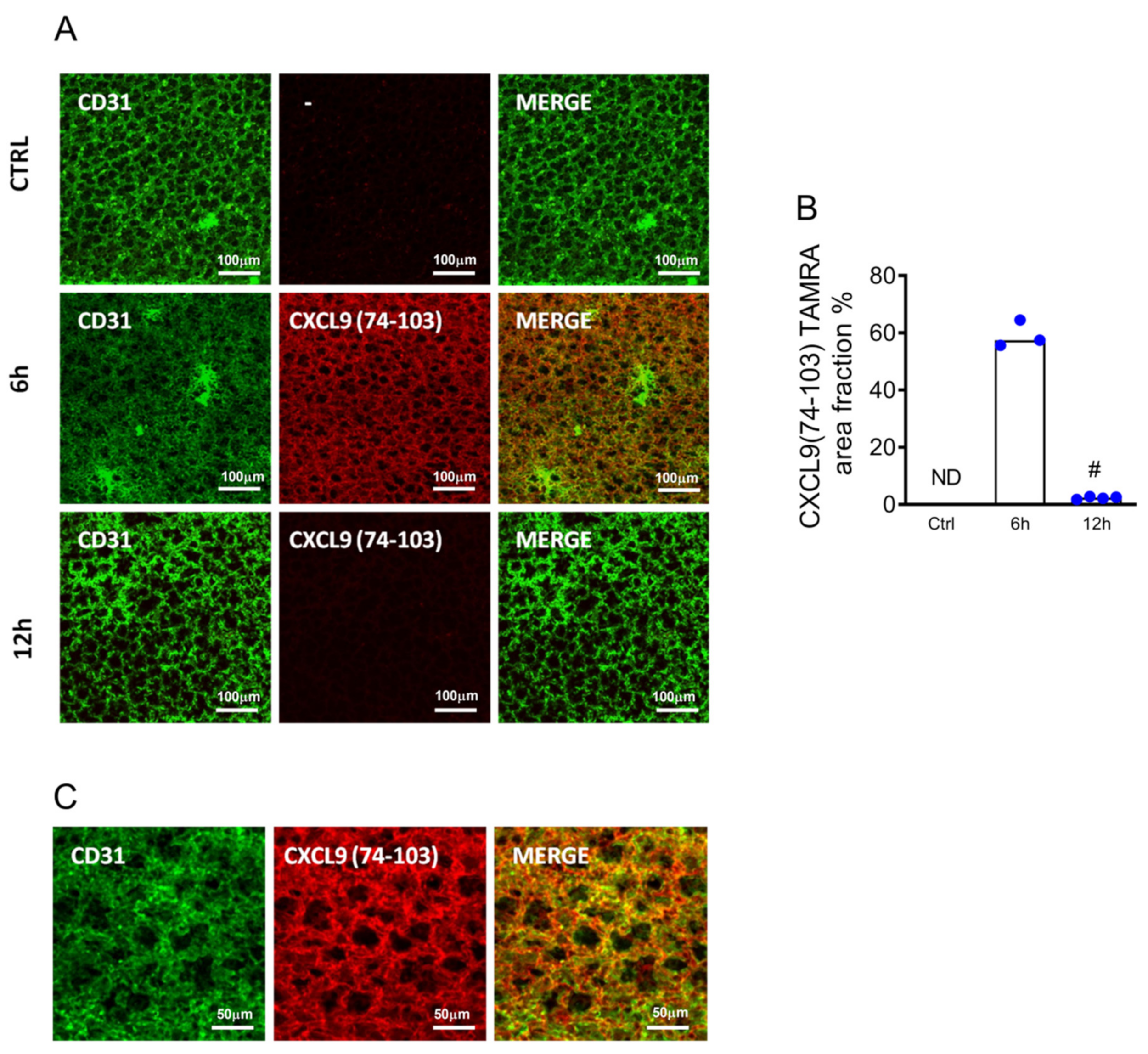 Ijms 23 06246 g002 550