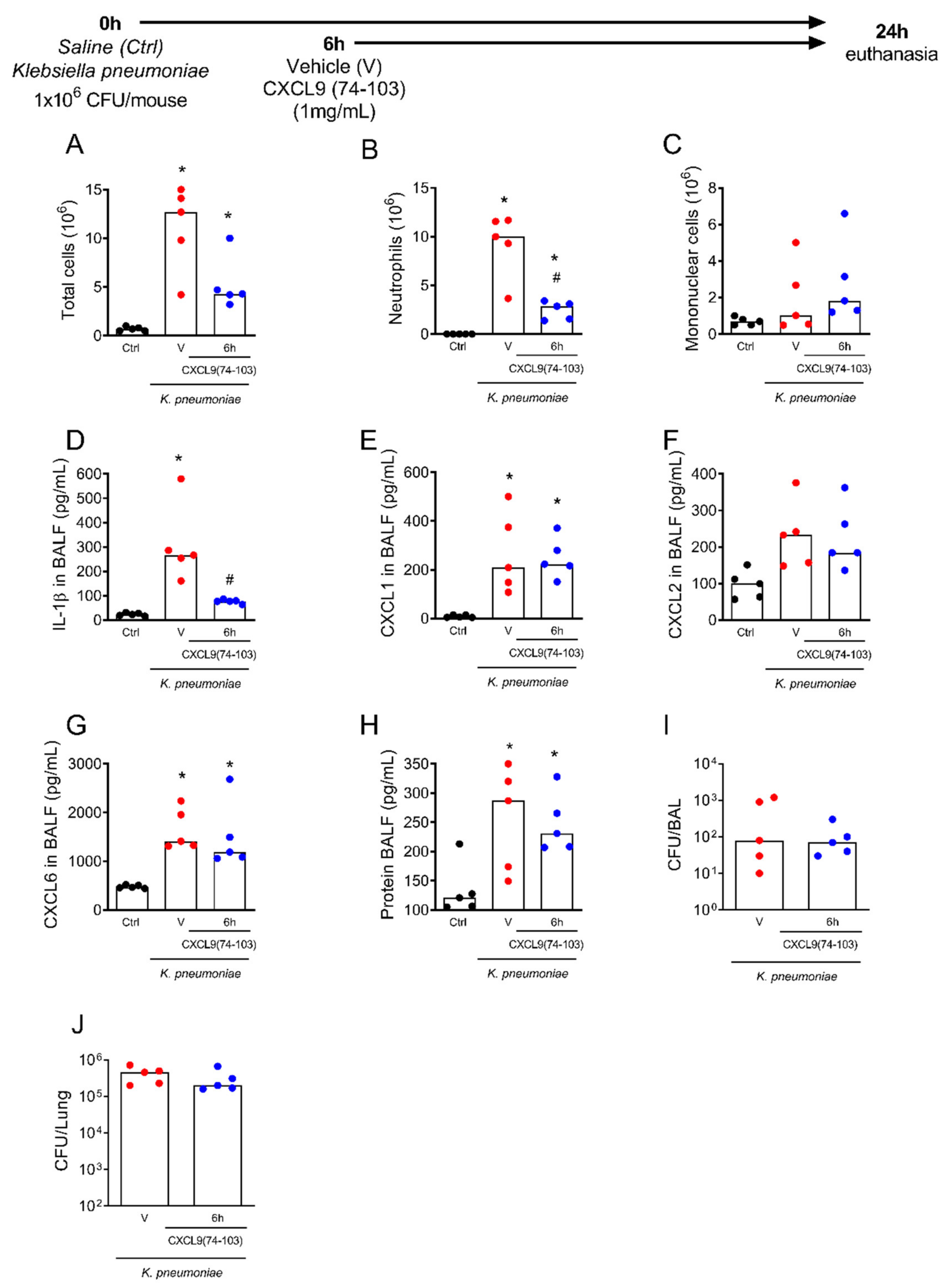 Ijms 23 06246 g005 550