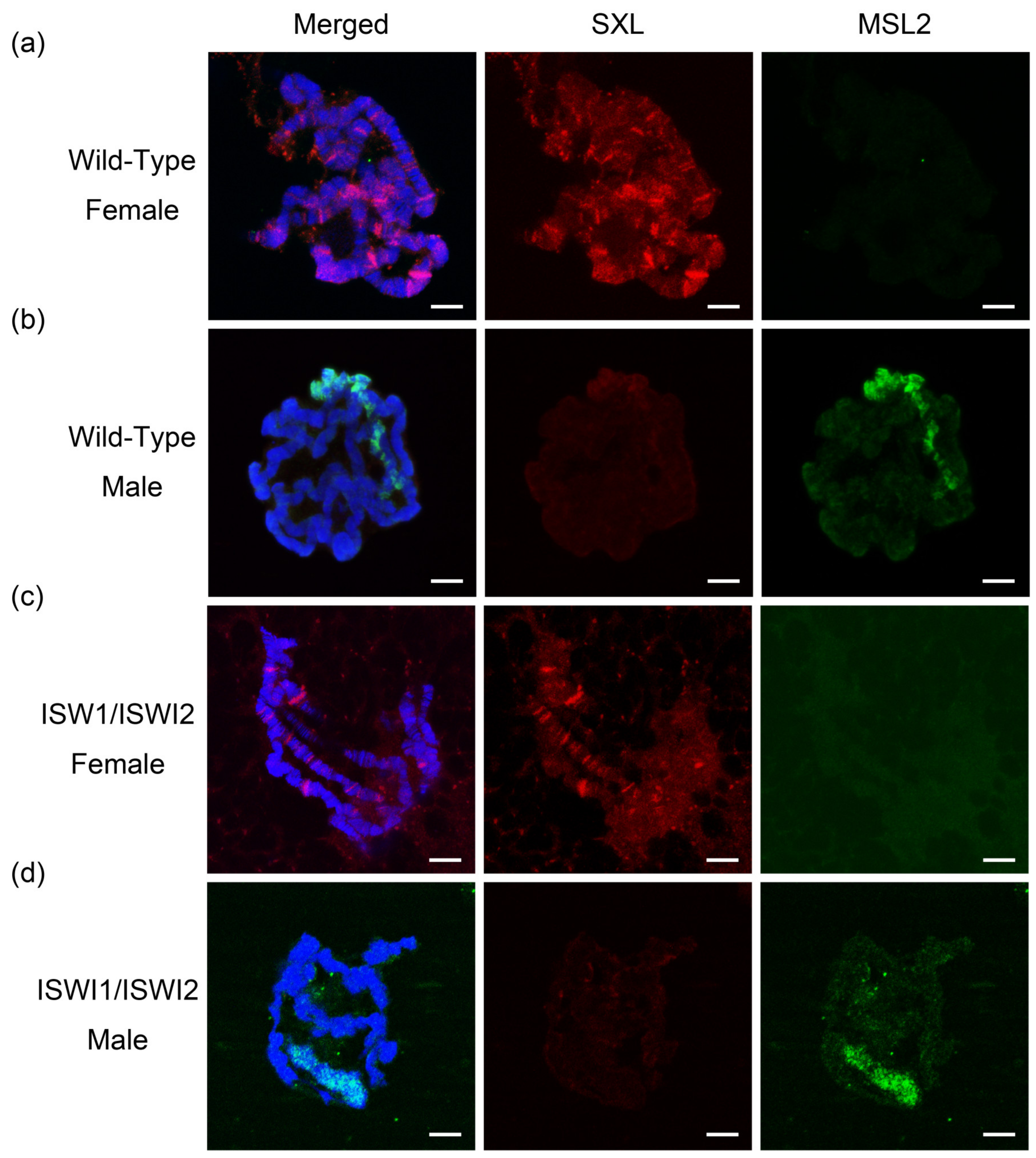 Ijms 23 06247 g001 Ijms 23 06247 g001