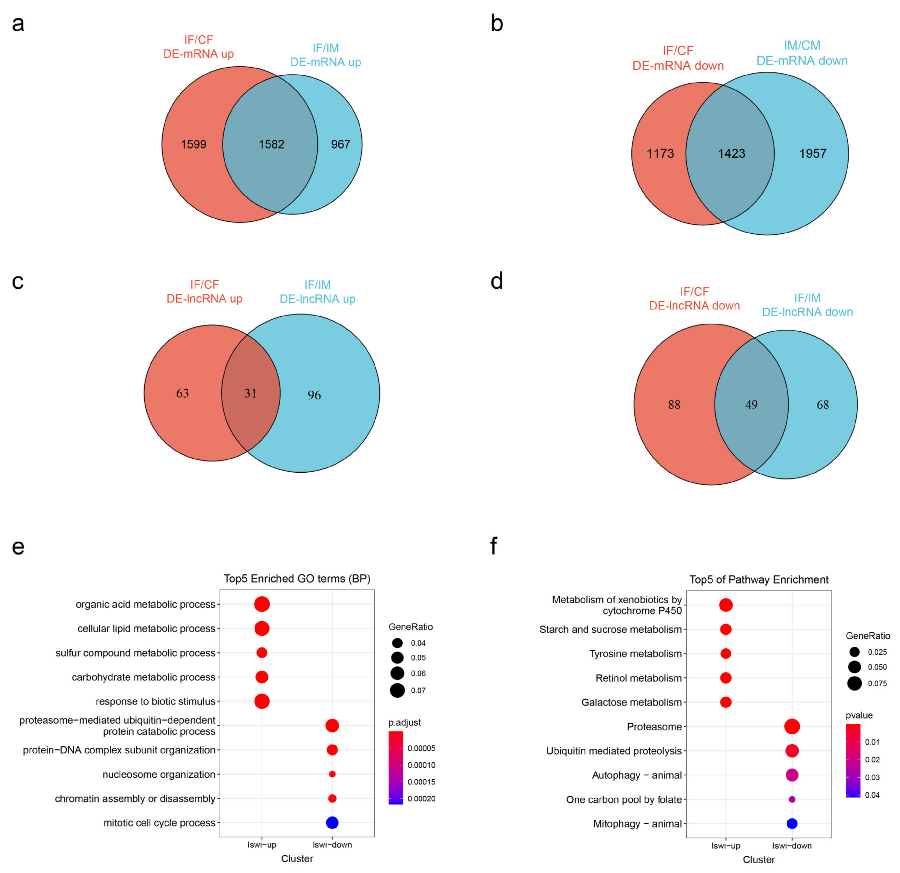 Ijms 23 06247 g004 Ijms 23 06247 g004