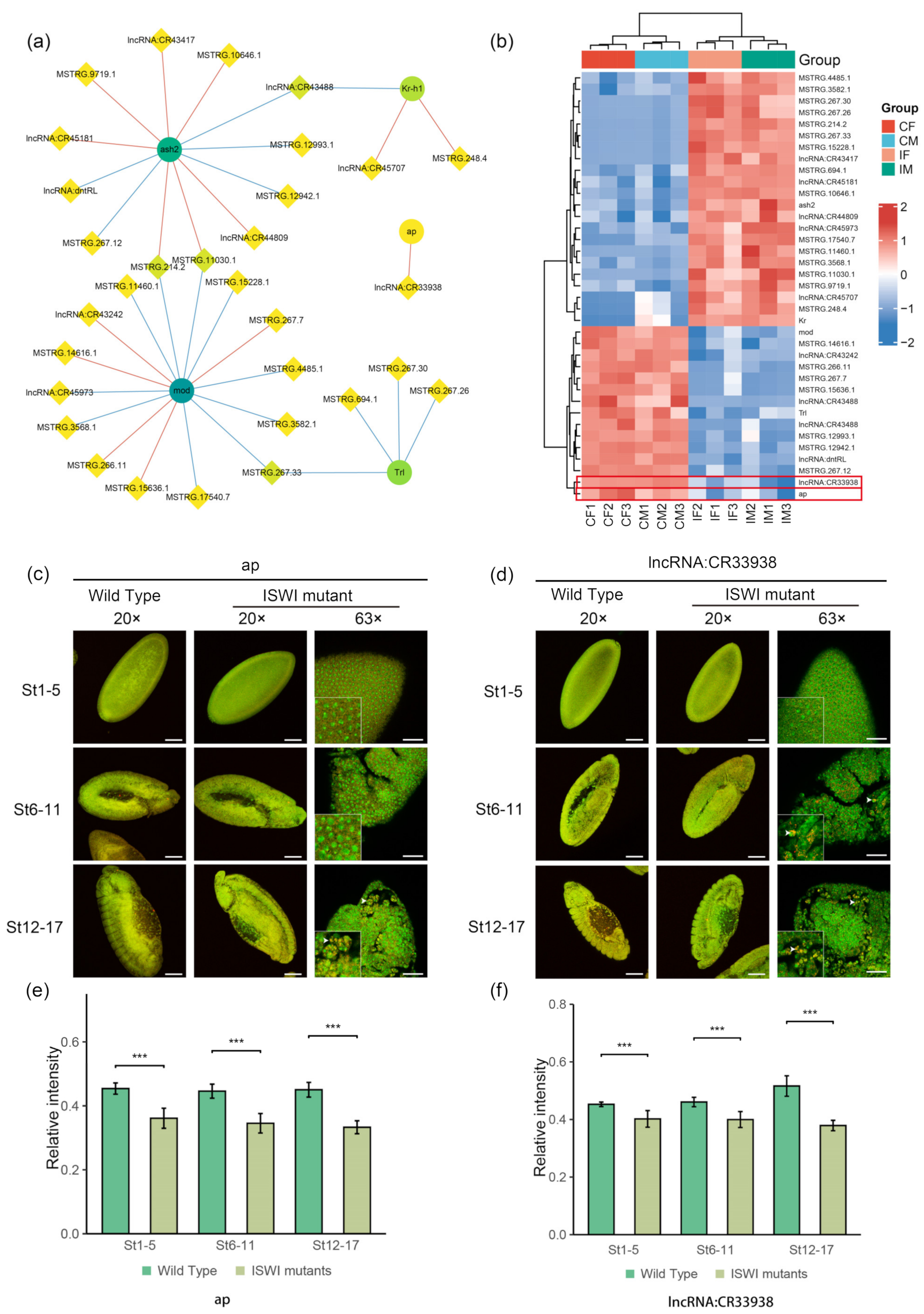 Ijms 23 06247 g007 Ijms 23 06247 g007