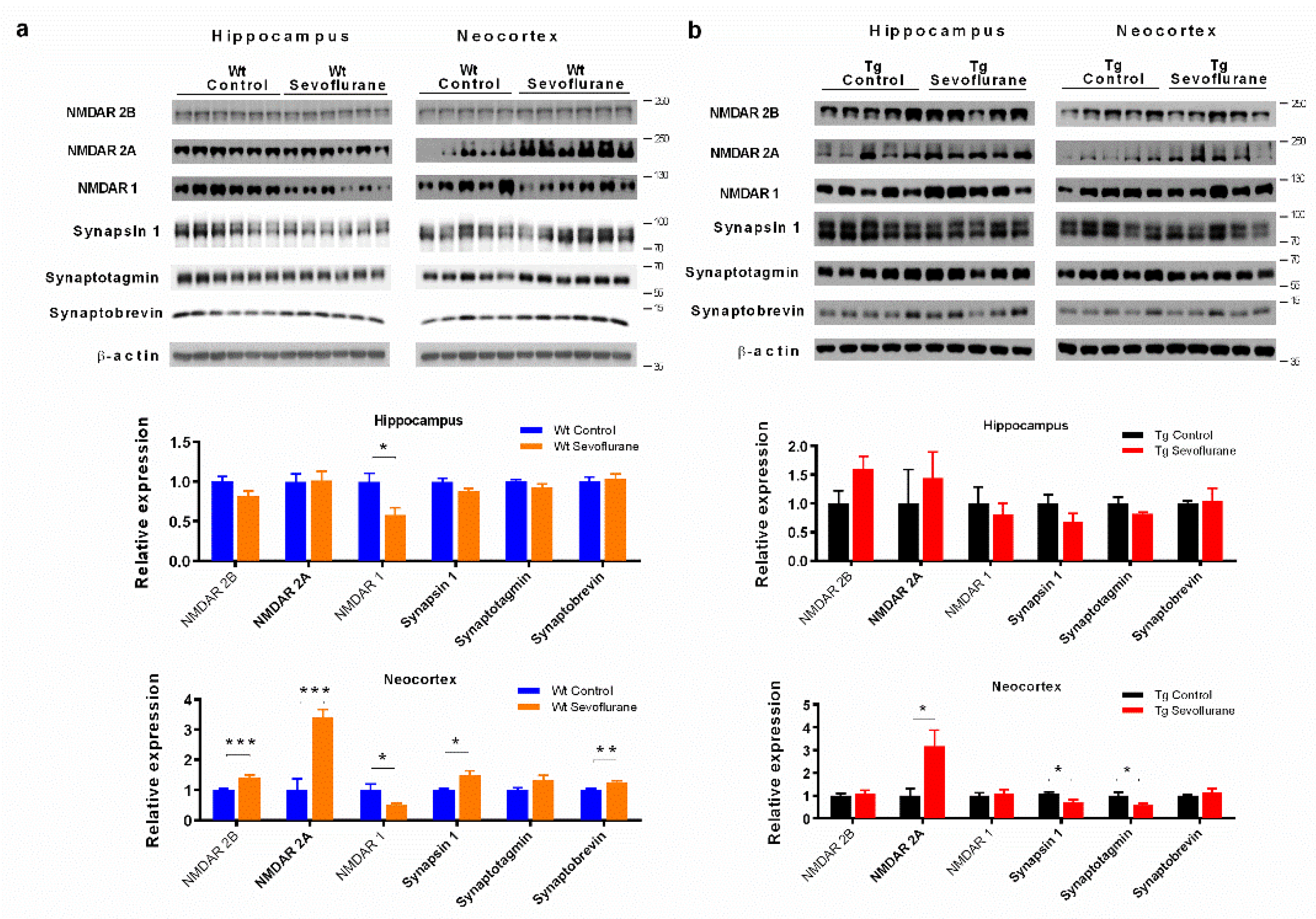 Ijms 23 06250 g002 550