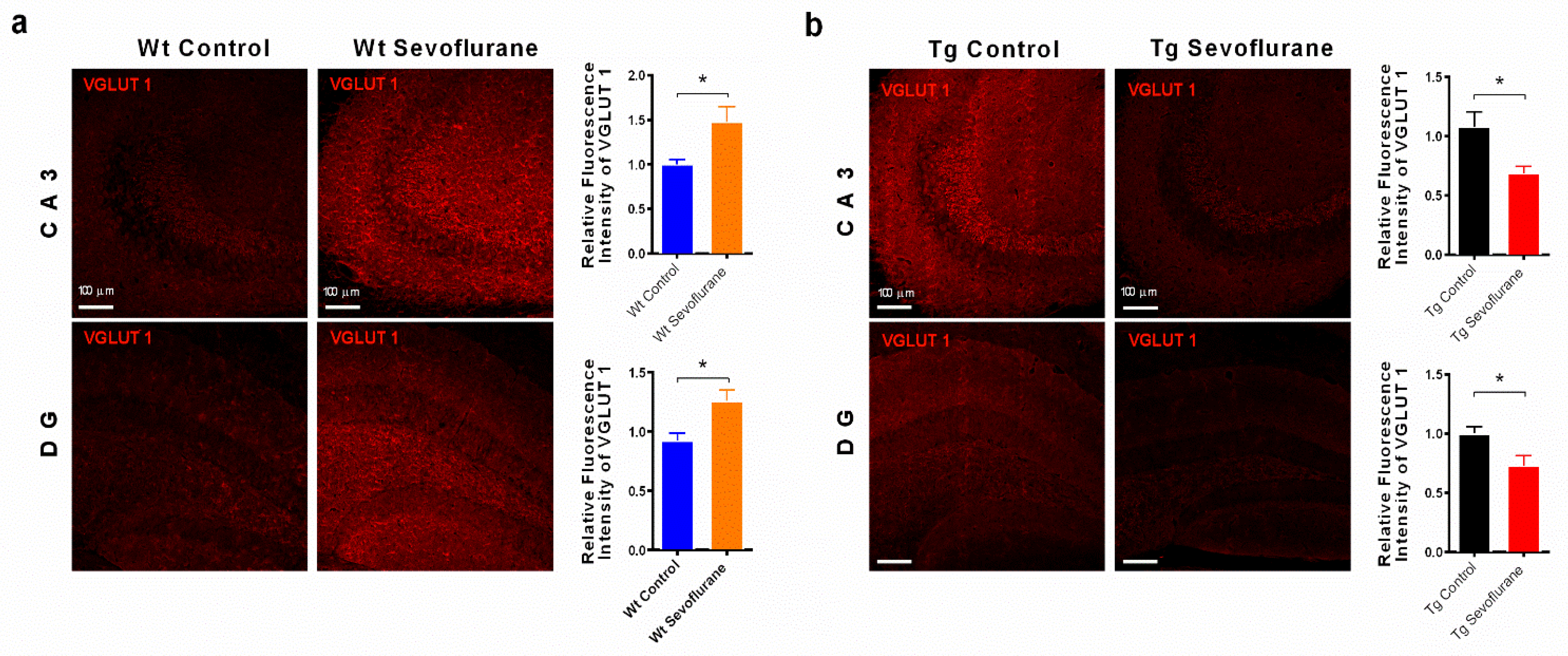 Ijms 23 06250 g003 550