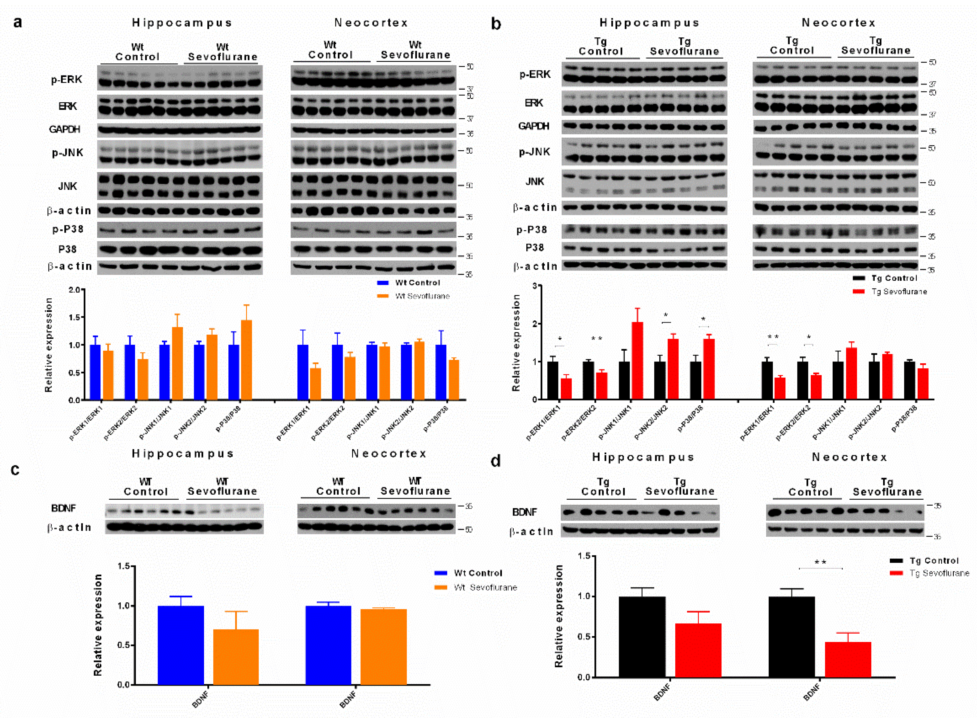 Ijms 23 06250 g004 550