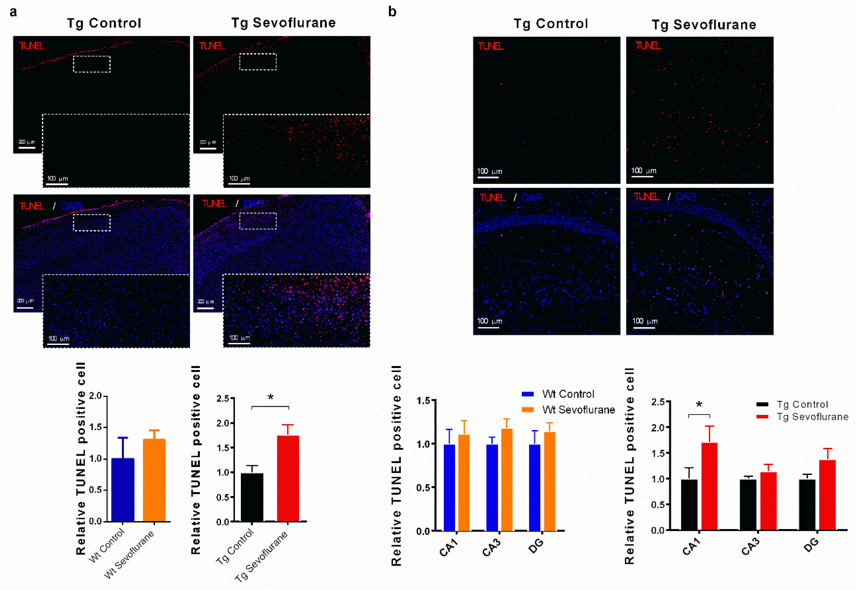 Ijms 23 06250 g006 550