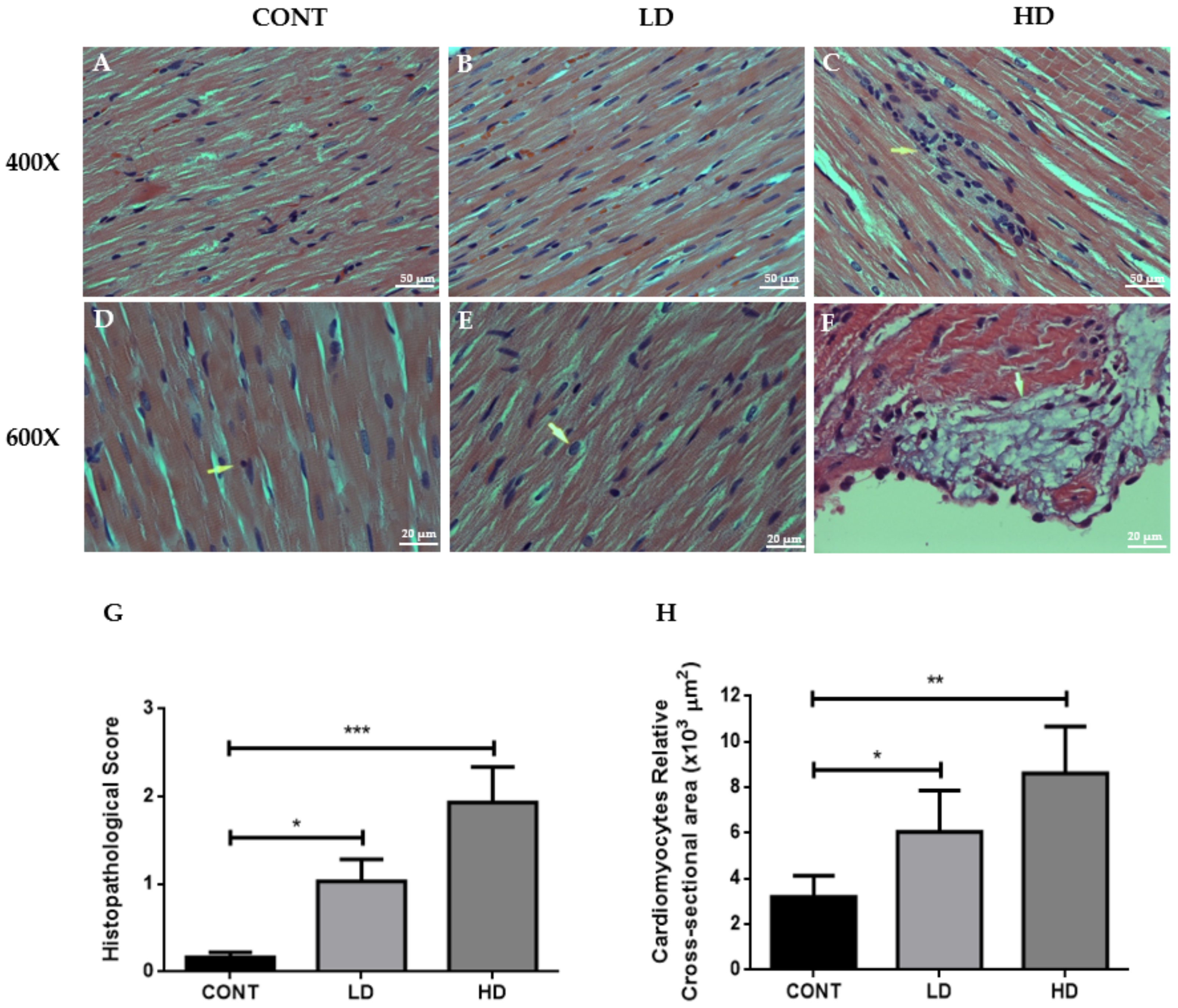 Ijms 23 06260 g003 550