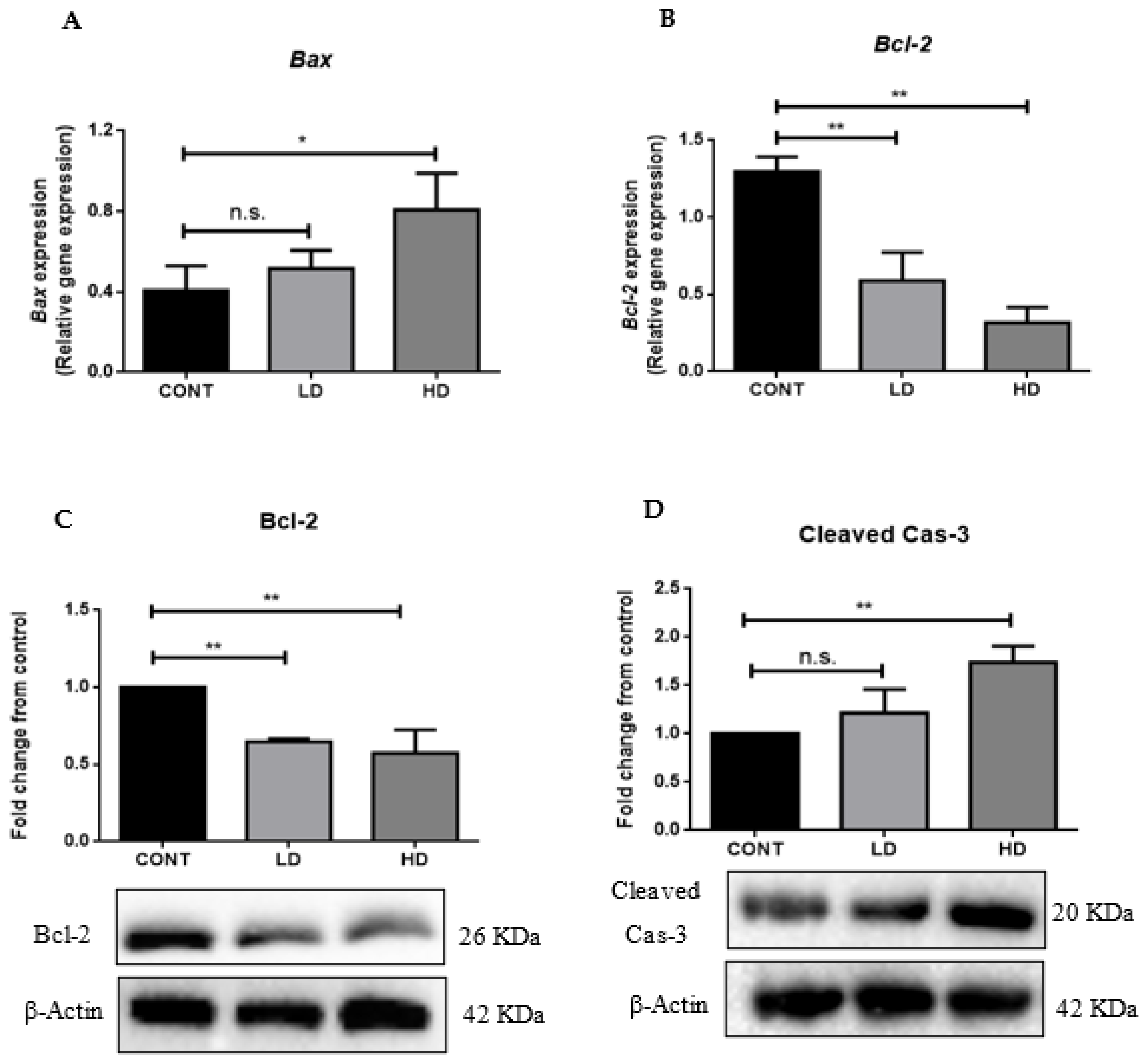 Ijms 23 06260 g004 550