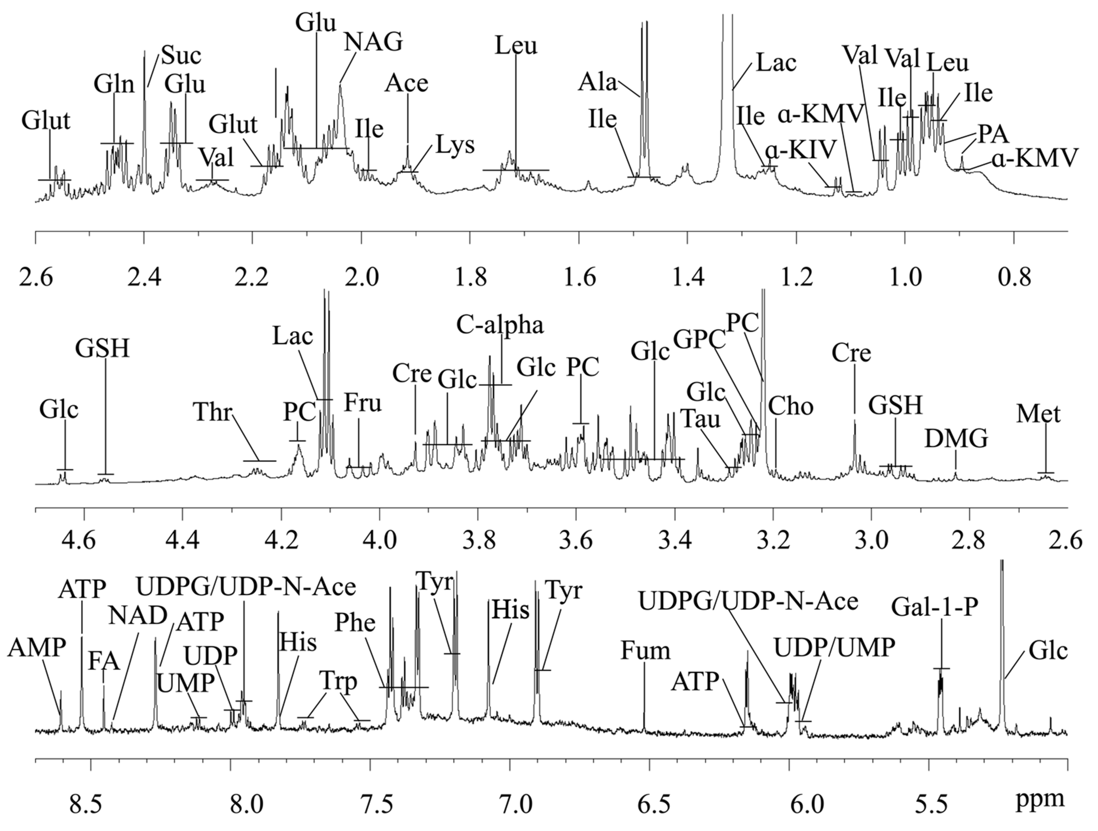 Ijms 23 06262 g002 550