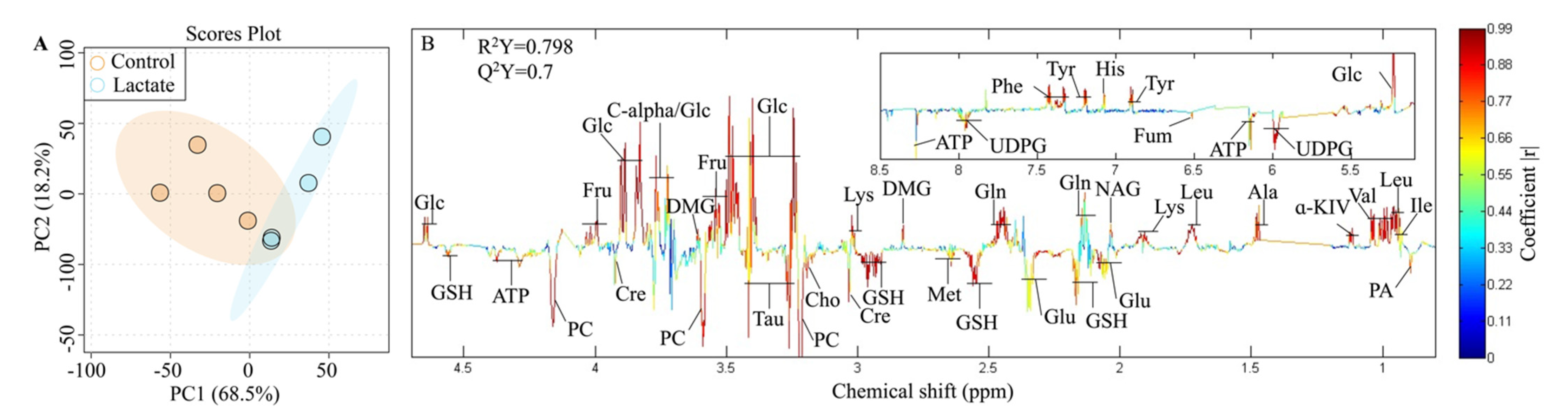 Ijms 23 06262 g003 550