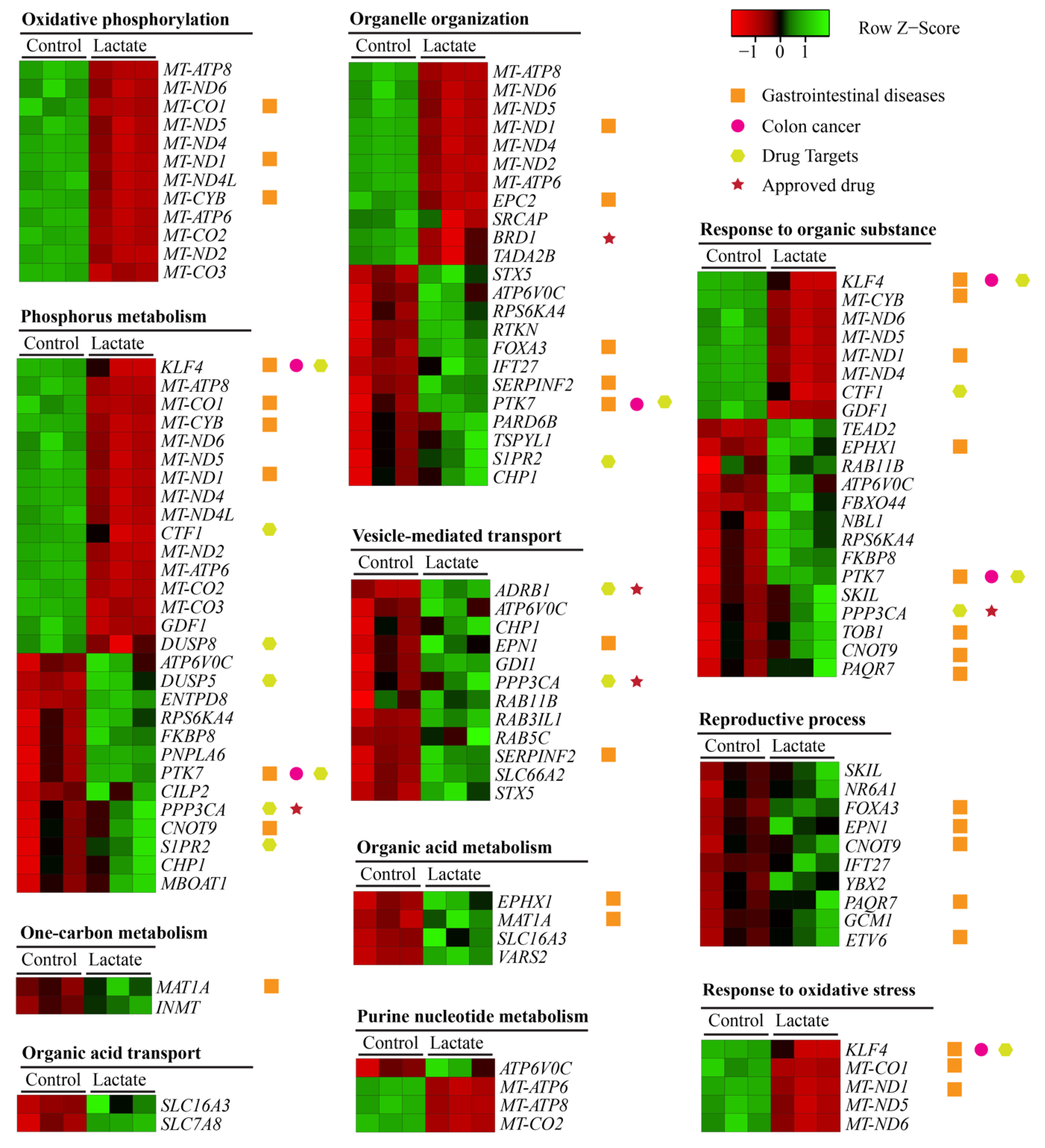 Ijms 23 06262 g005 550