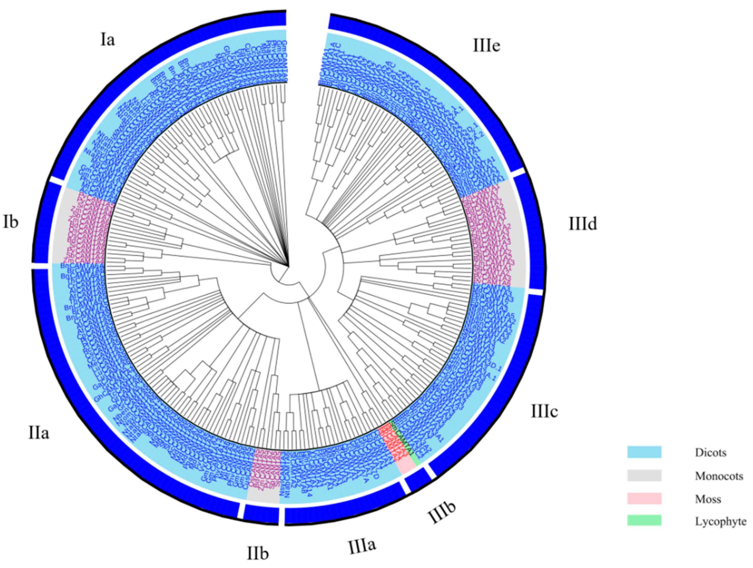 Ijms 23 06264 g001 550