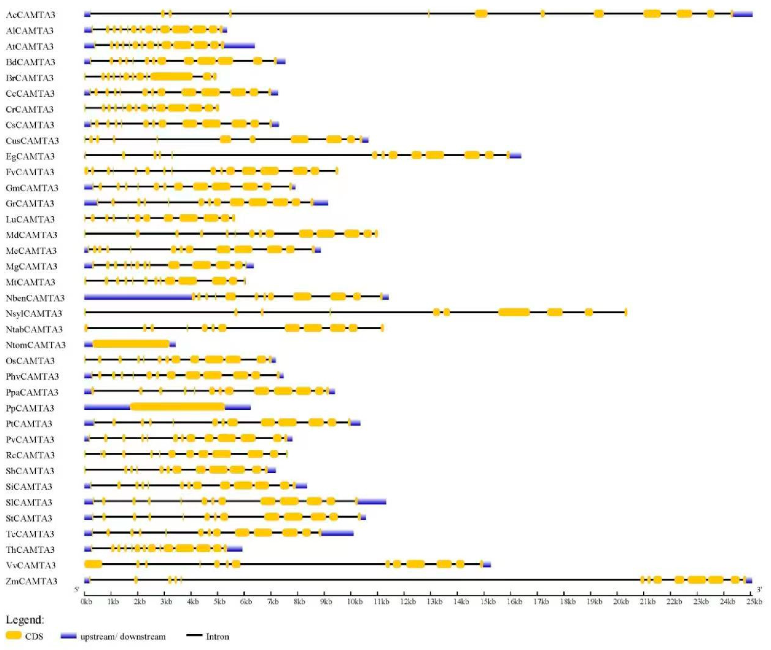 Ijms 23 06264 g003 550