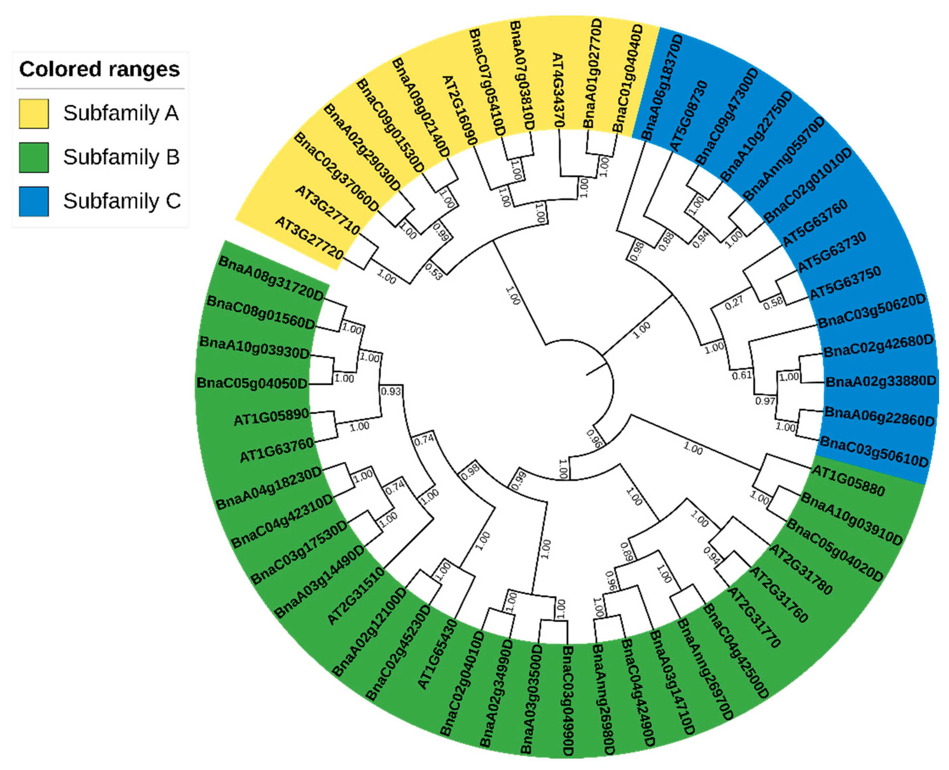 Ijms 23 06265 g001 Ijms 23 06265 g001