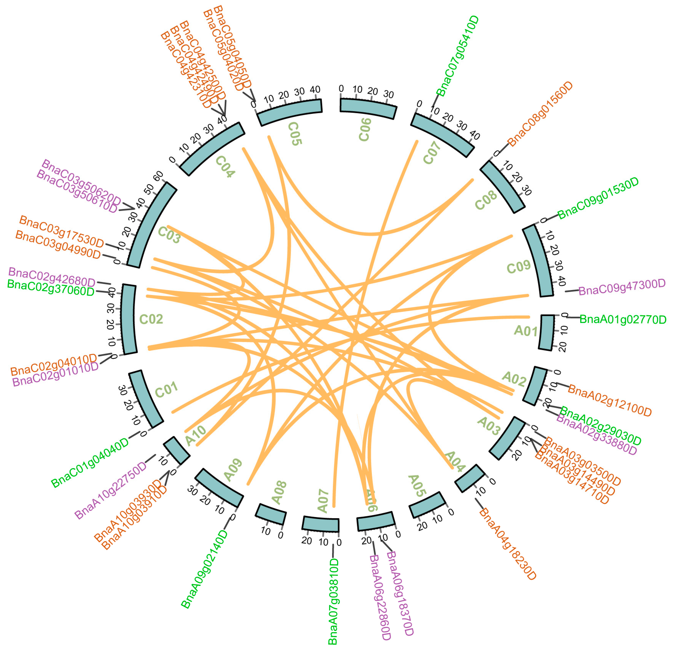 Ijms 23 06265 g002 Ijms 23 06265 g002