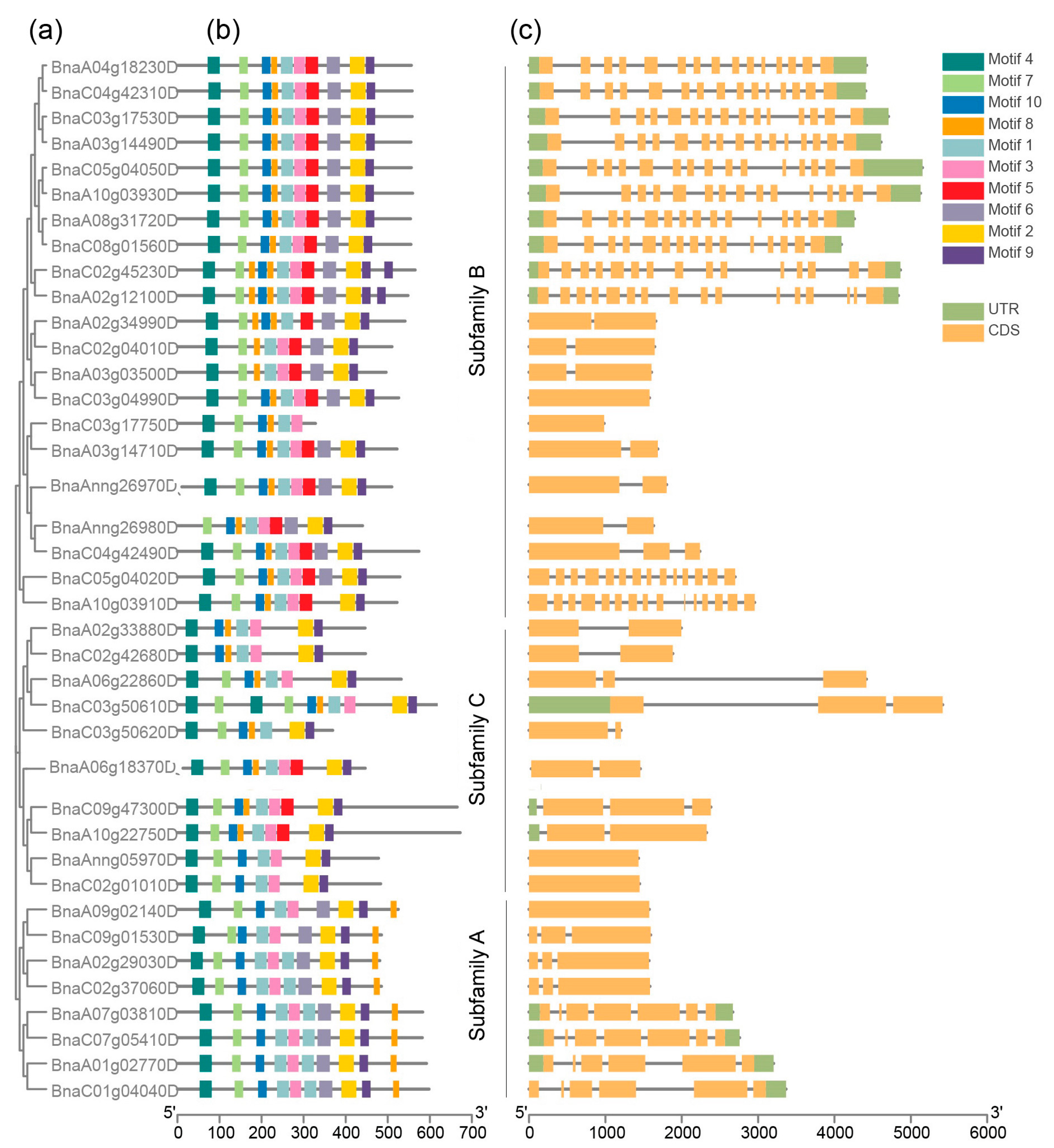Ijms 23 06265 g003 Ijms 23 06265 g003