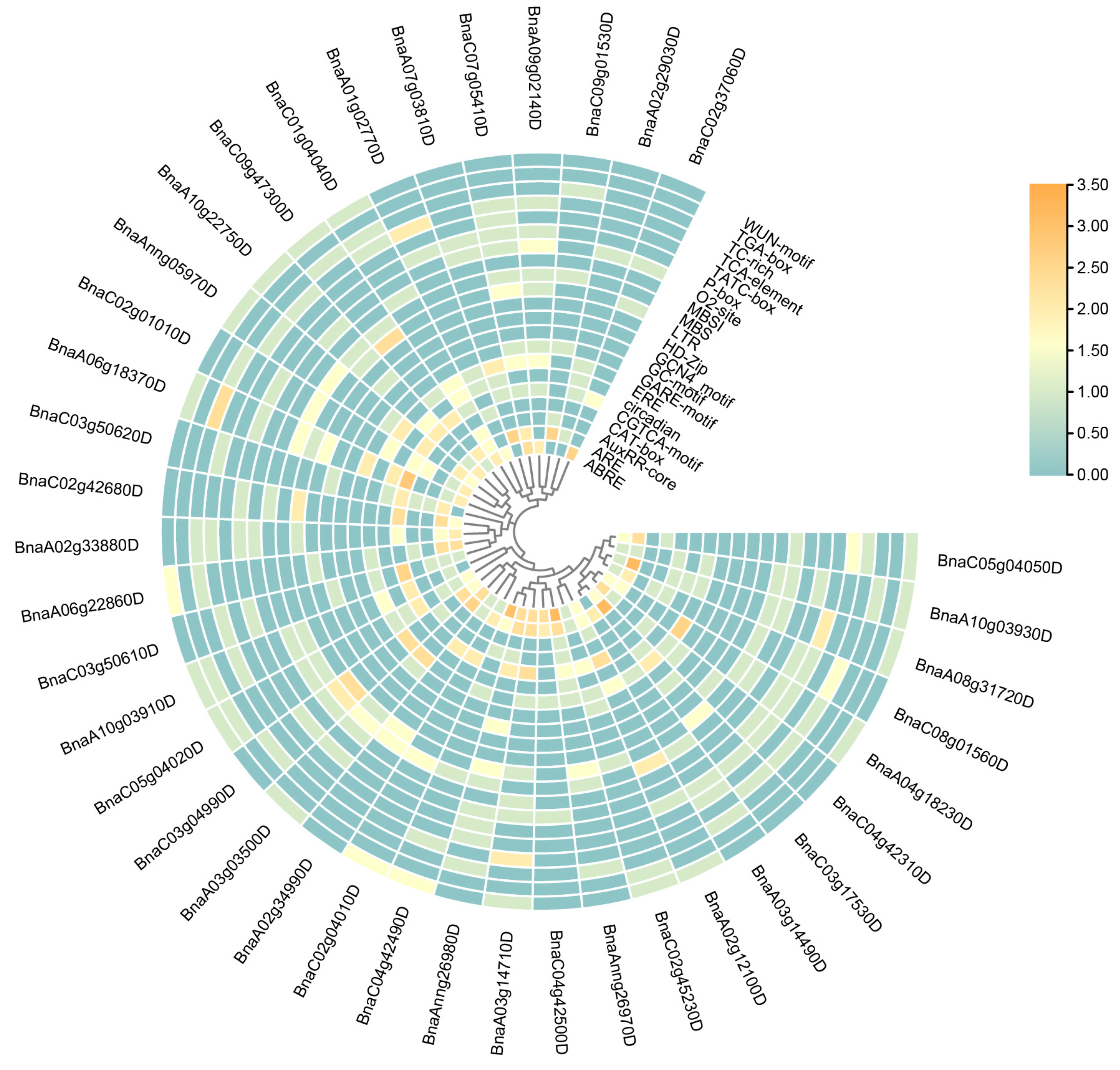 Ijms 23 06265 g004 Ijms 23 06265 g004