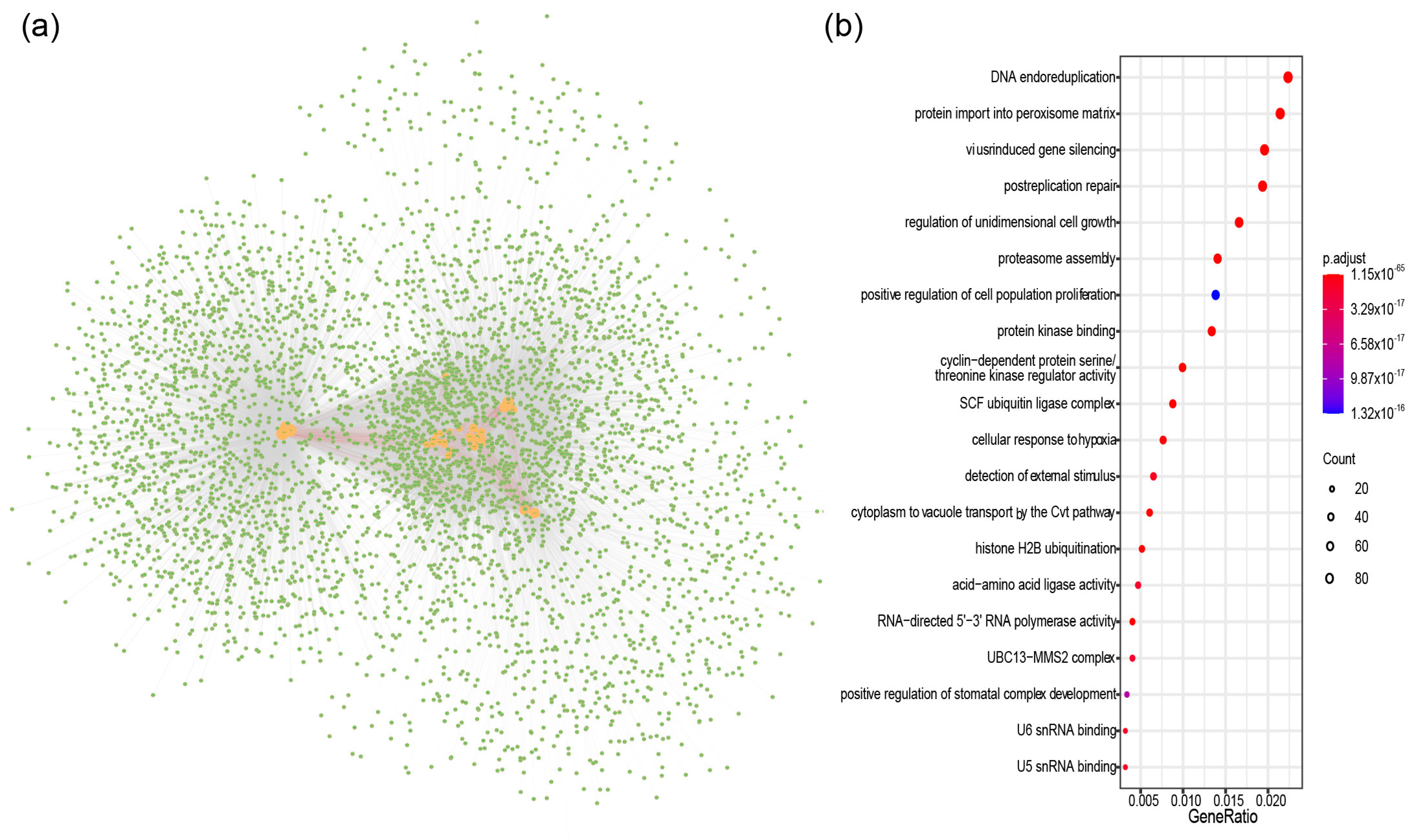 Ijms 23 06265 g005 Ijms 23 06265 g005