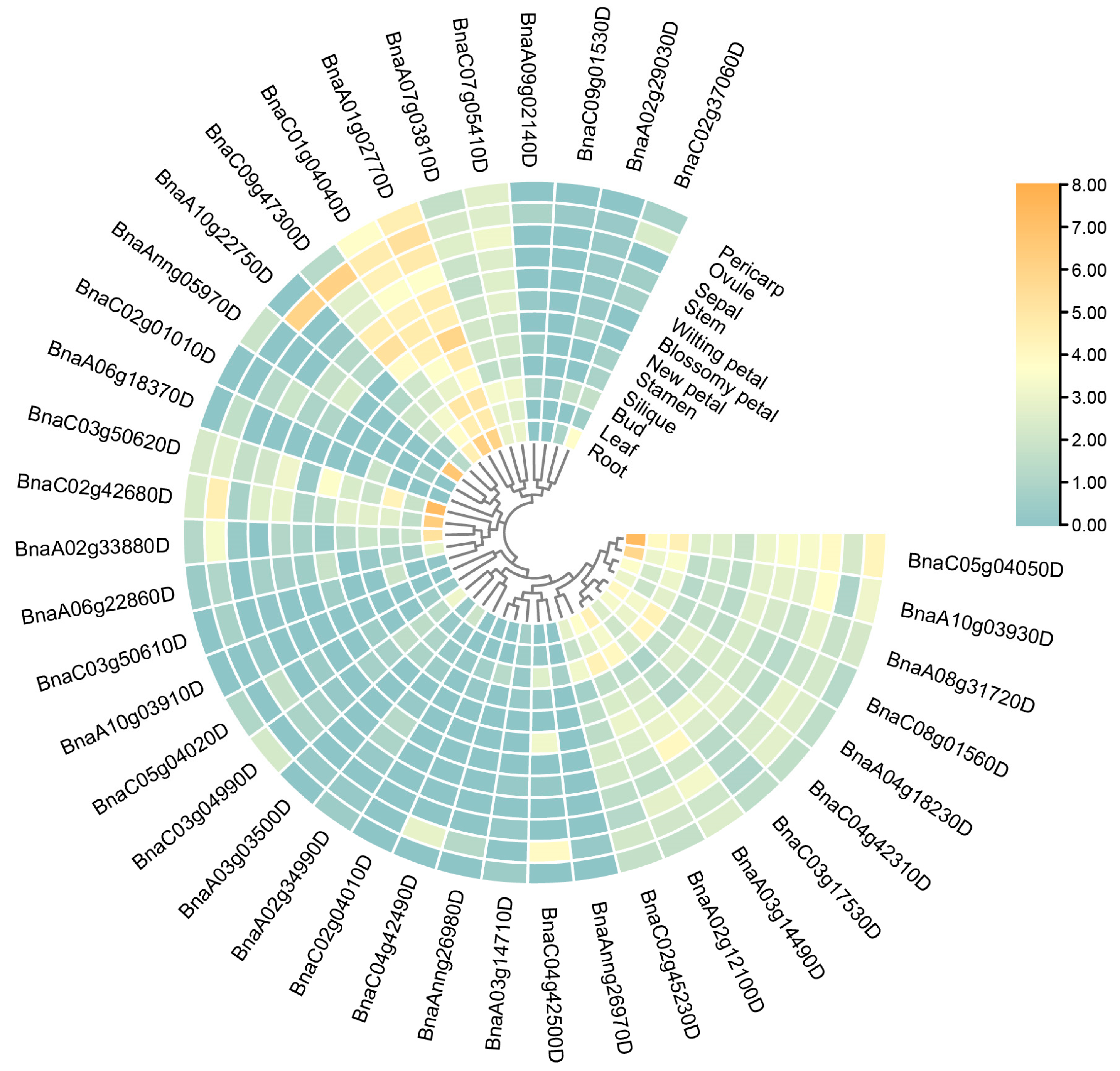 Ijms 23 06265 g006 Ijms 23 06265 g006