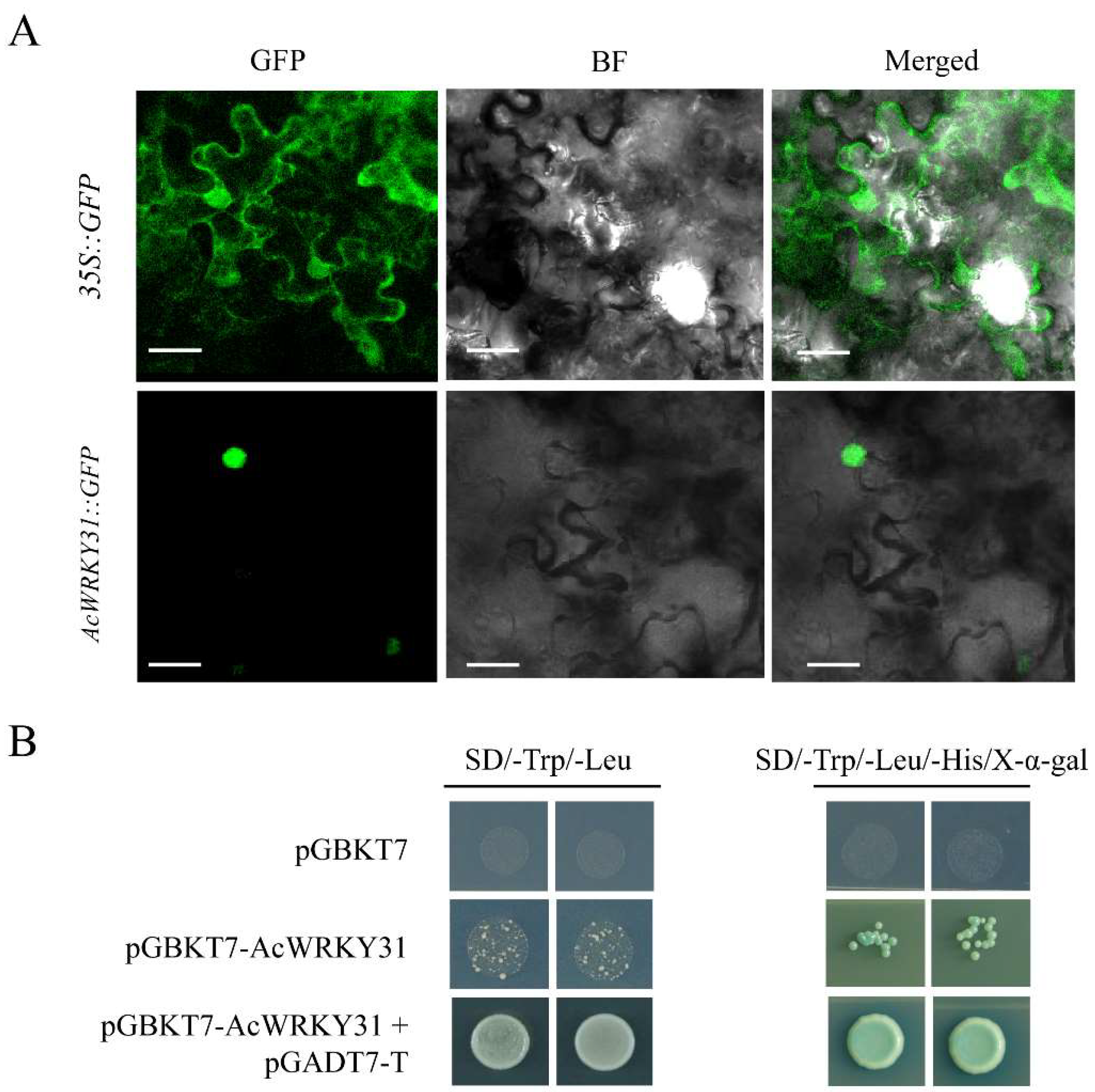 Ijms 23 06269 g002 550