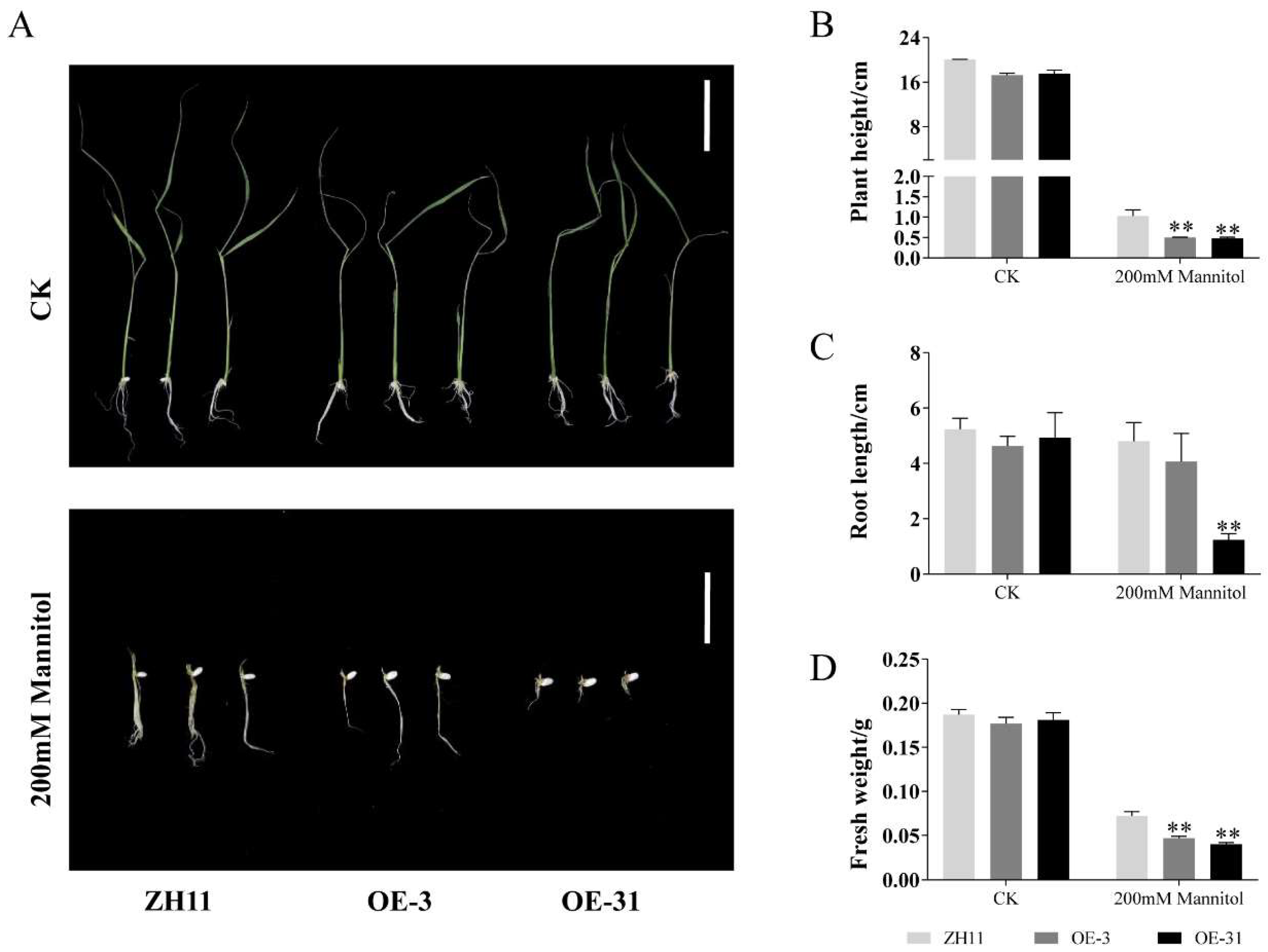 Ijms 23 06269 g005 550