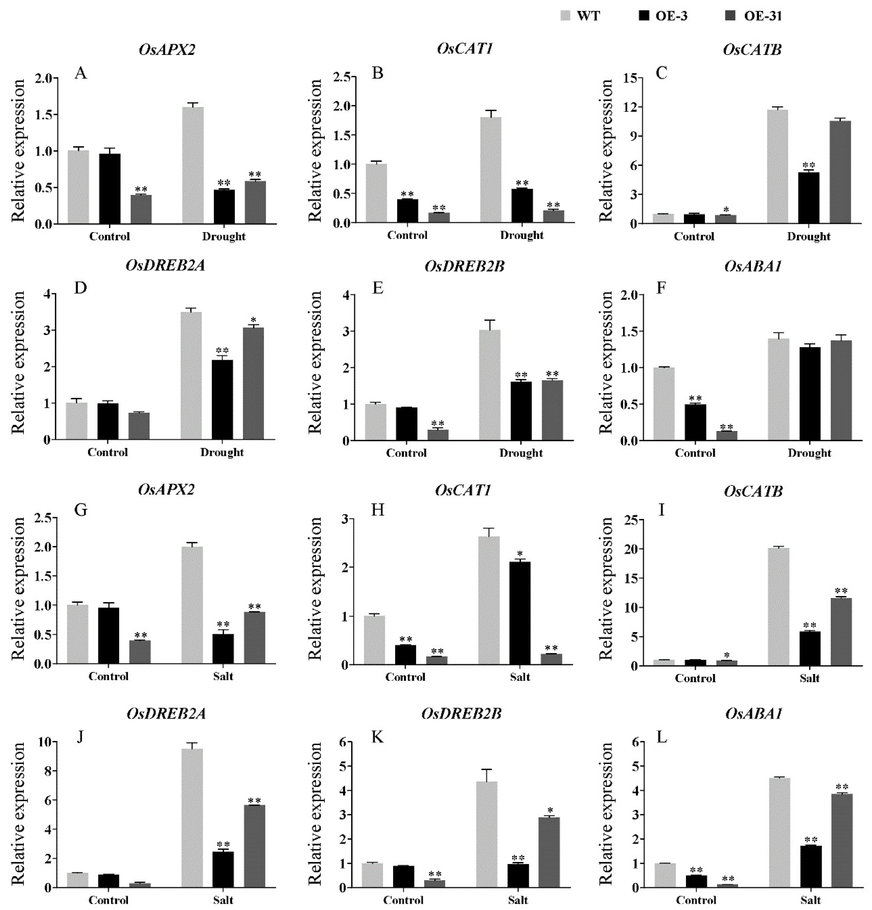 Ijms 23 06269 g009 550