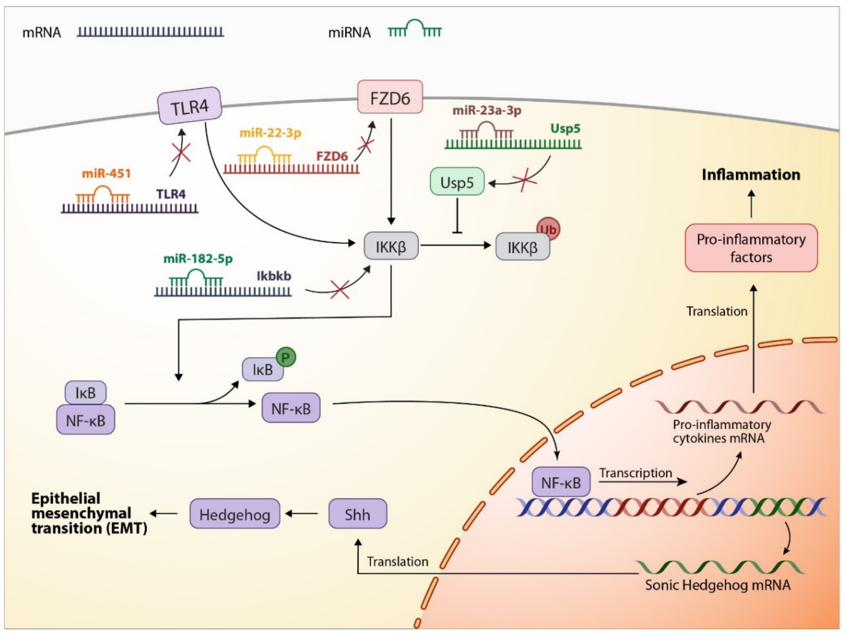 Ijms 23 06273 g002 550