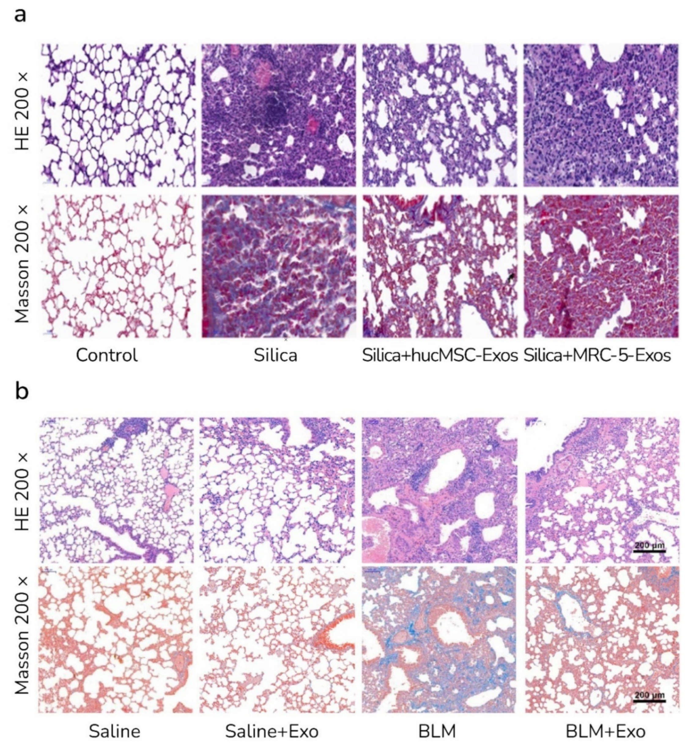 Ijms 23 06273 g003 550