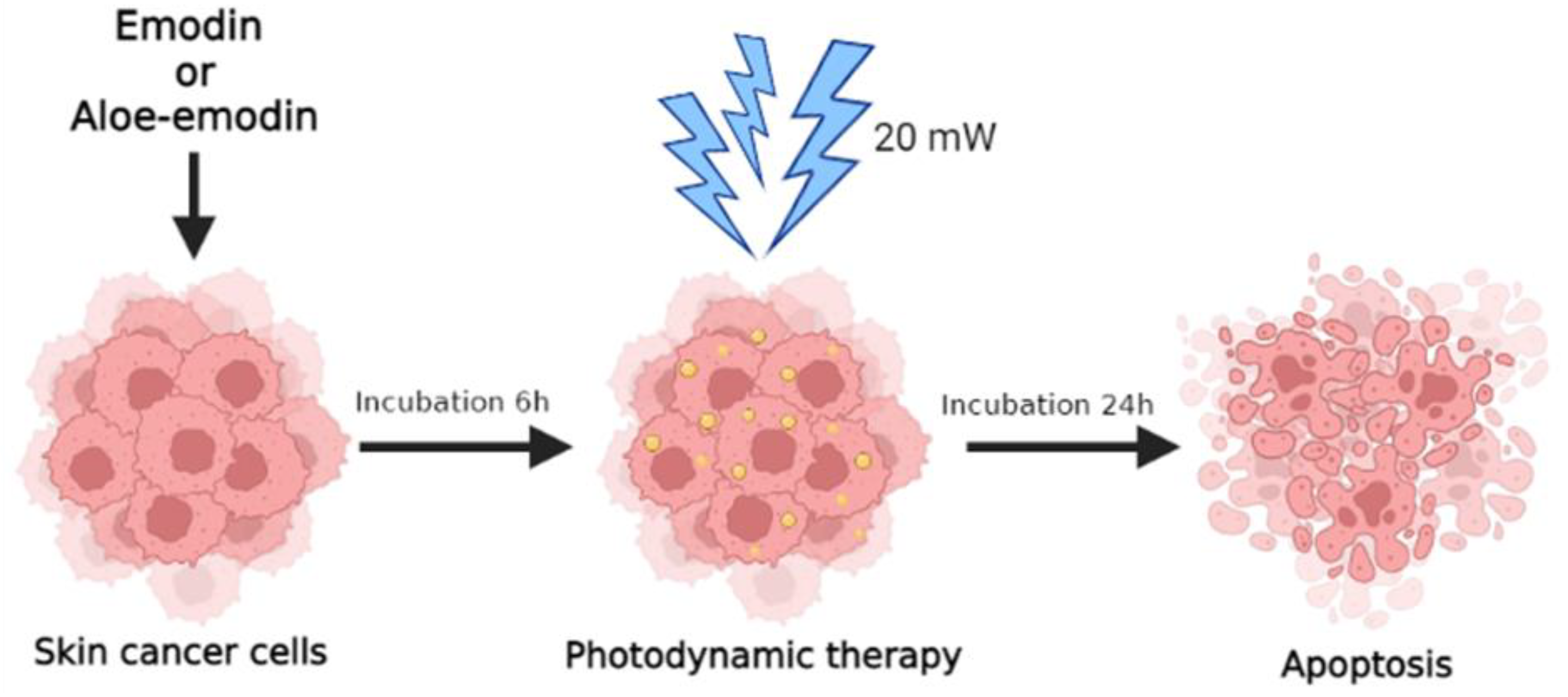 Ijms 23 06276 g001 550