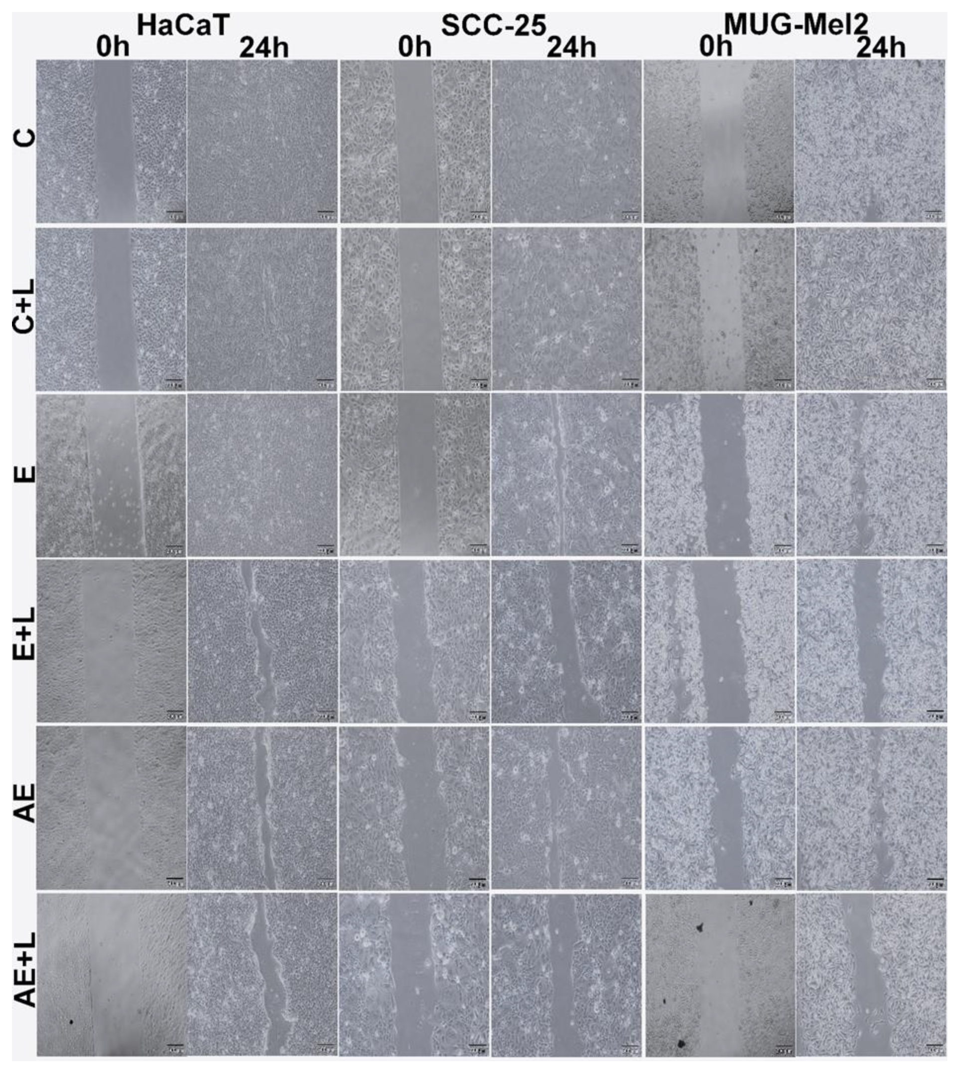 Ijms 23 06276 g004 550