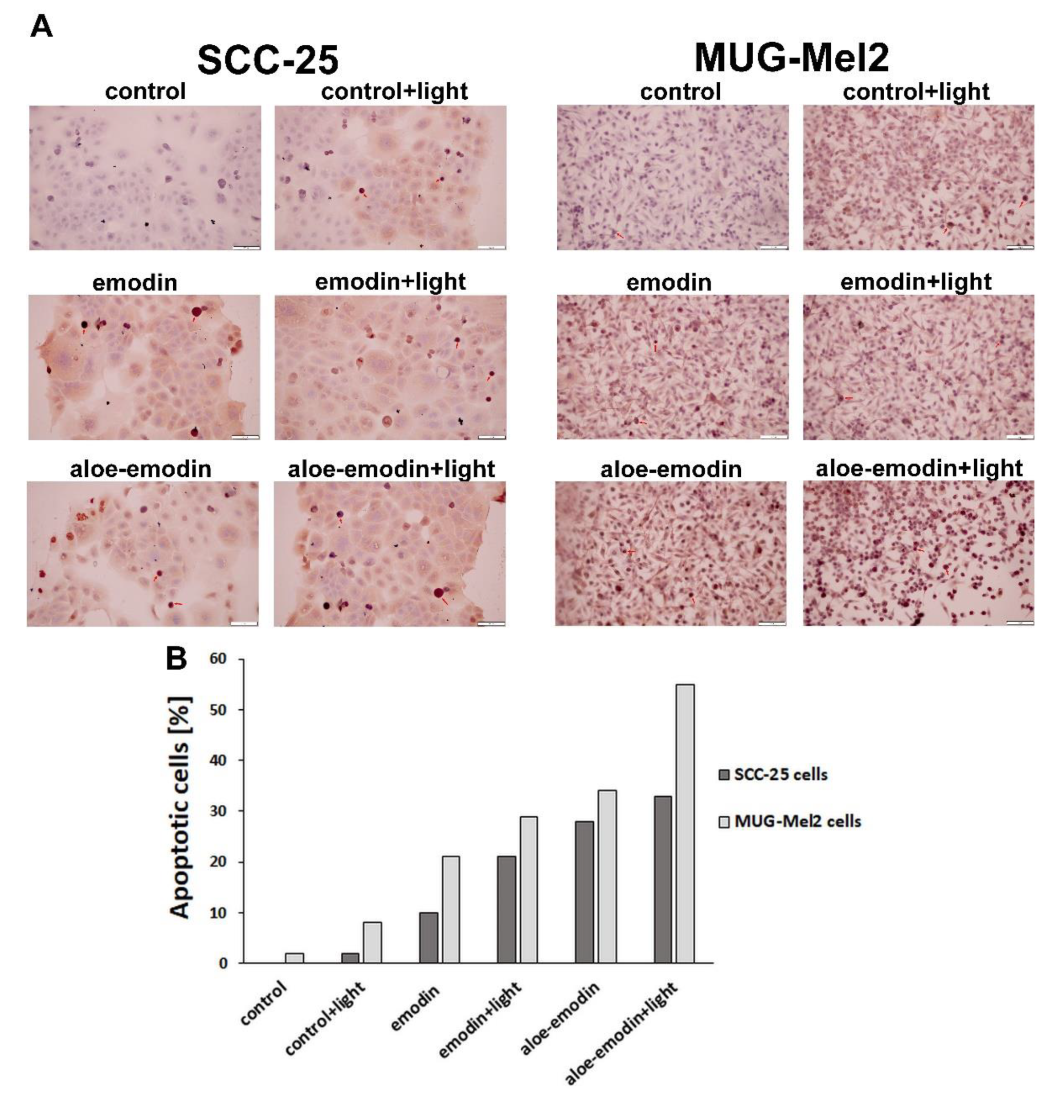 Ijms 23 06276 g005 550