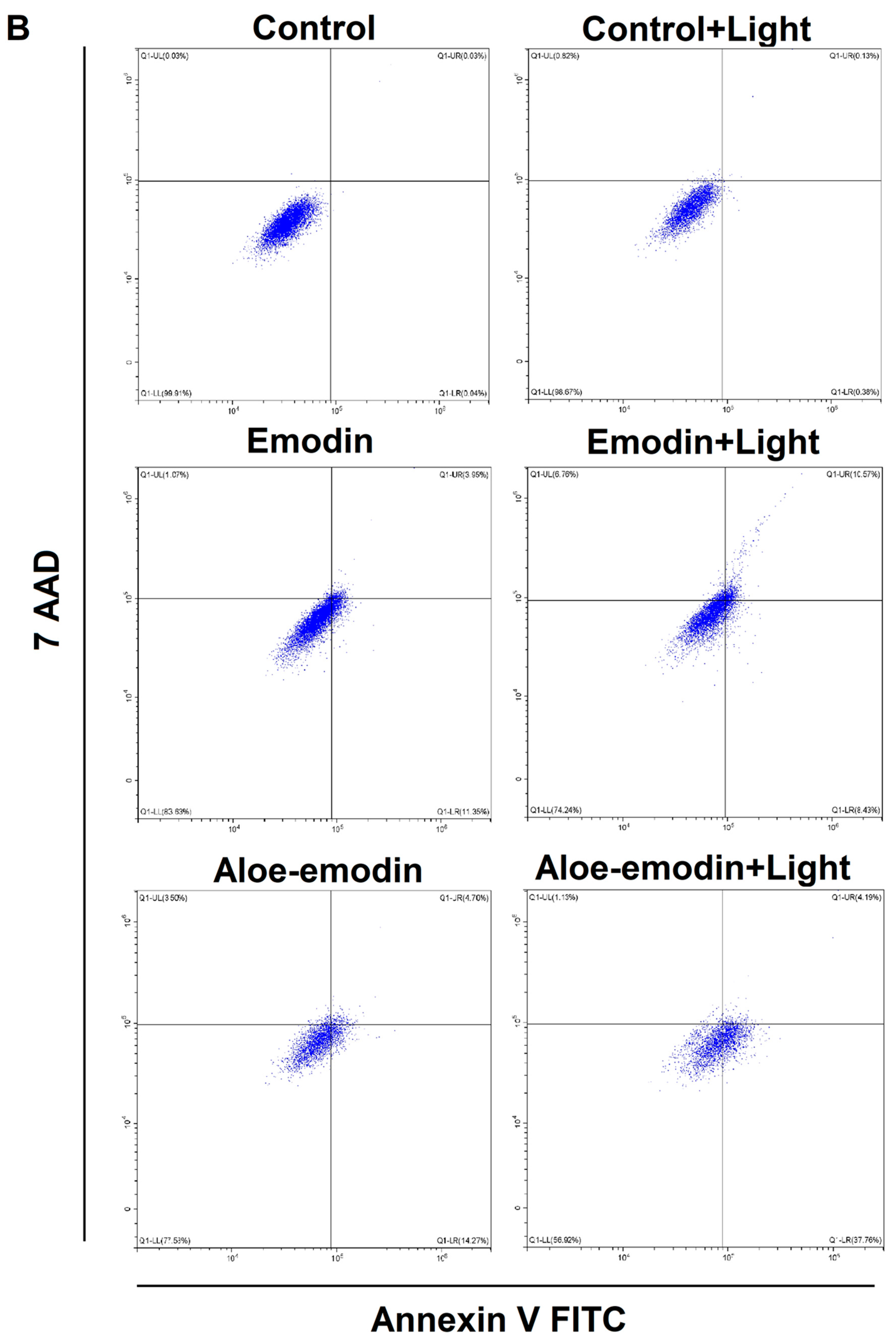 Ijms 23 06276 g006b 550