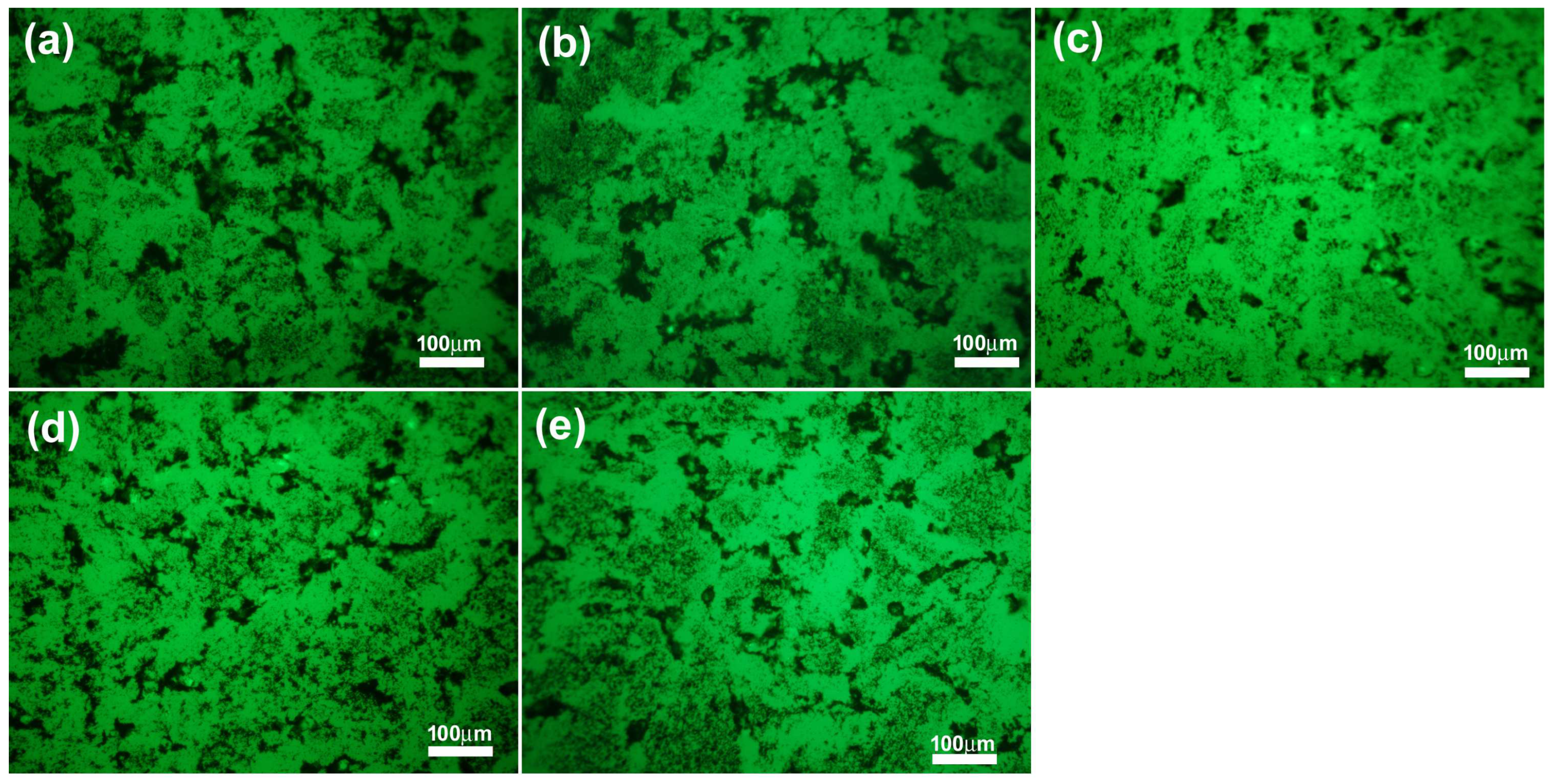 Ijms 23 06278 g008 550