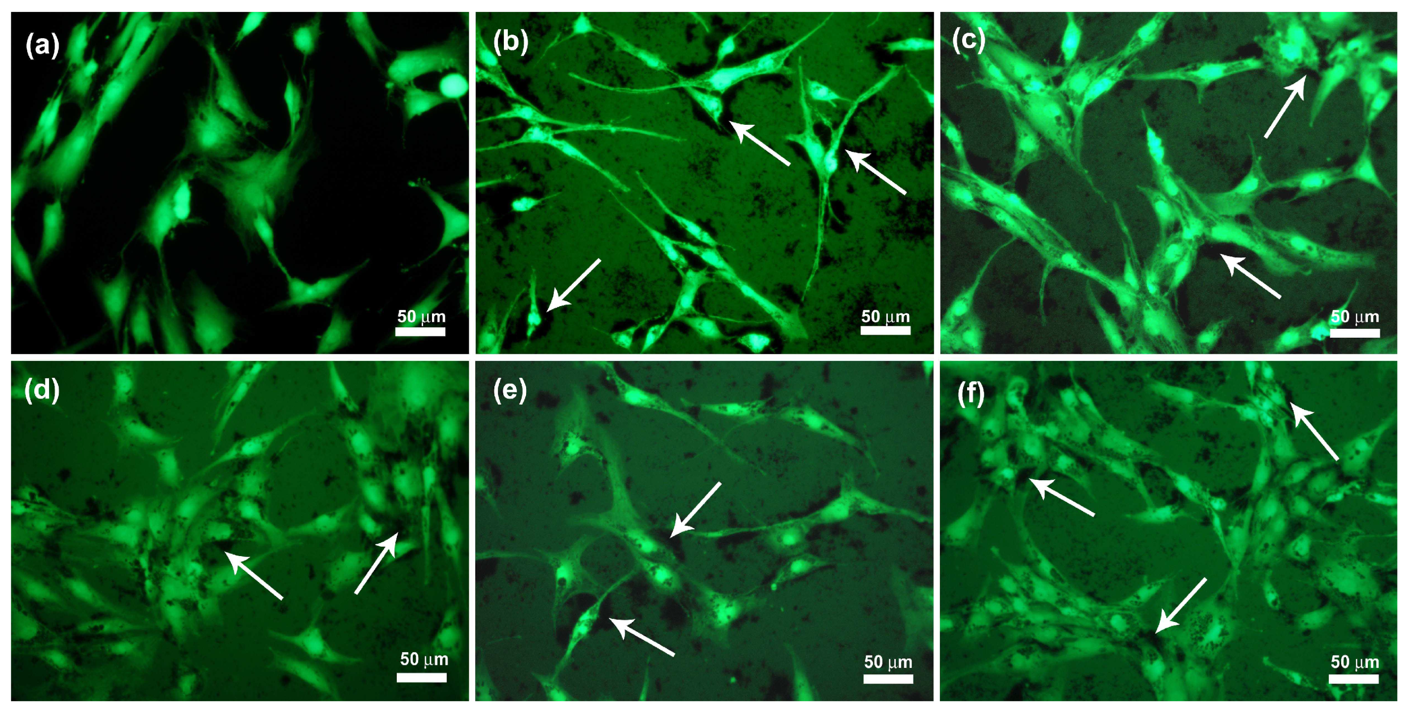 Ijms 23 06278 g010 550